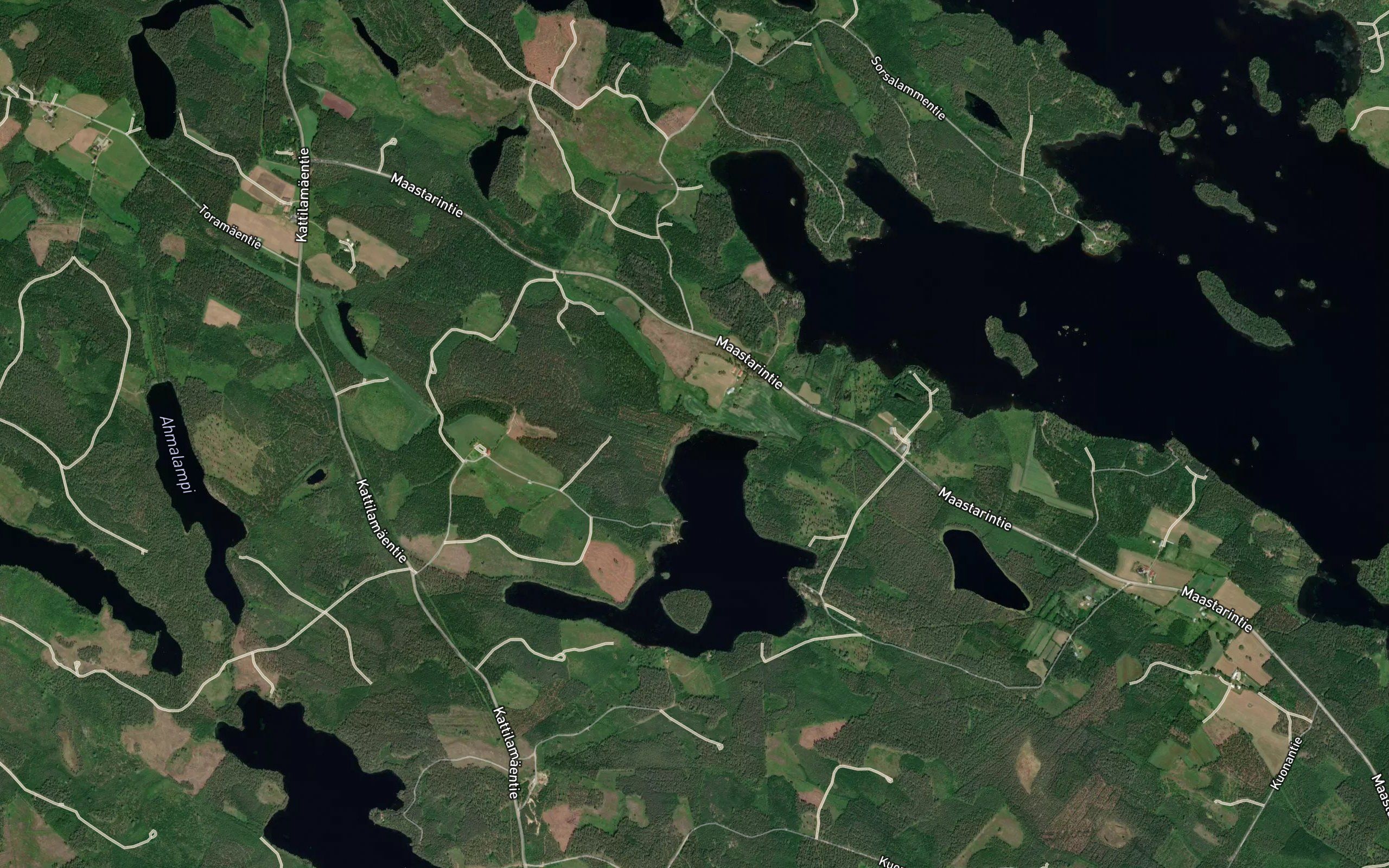 Leppojoki