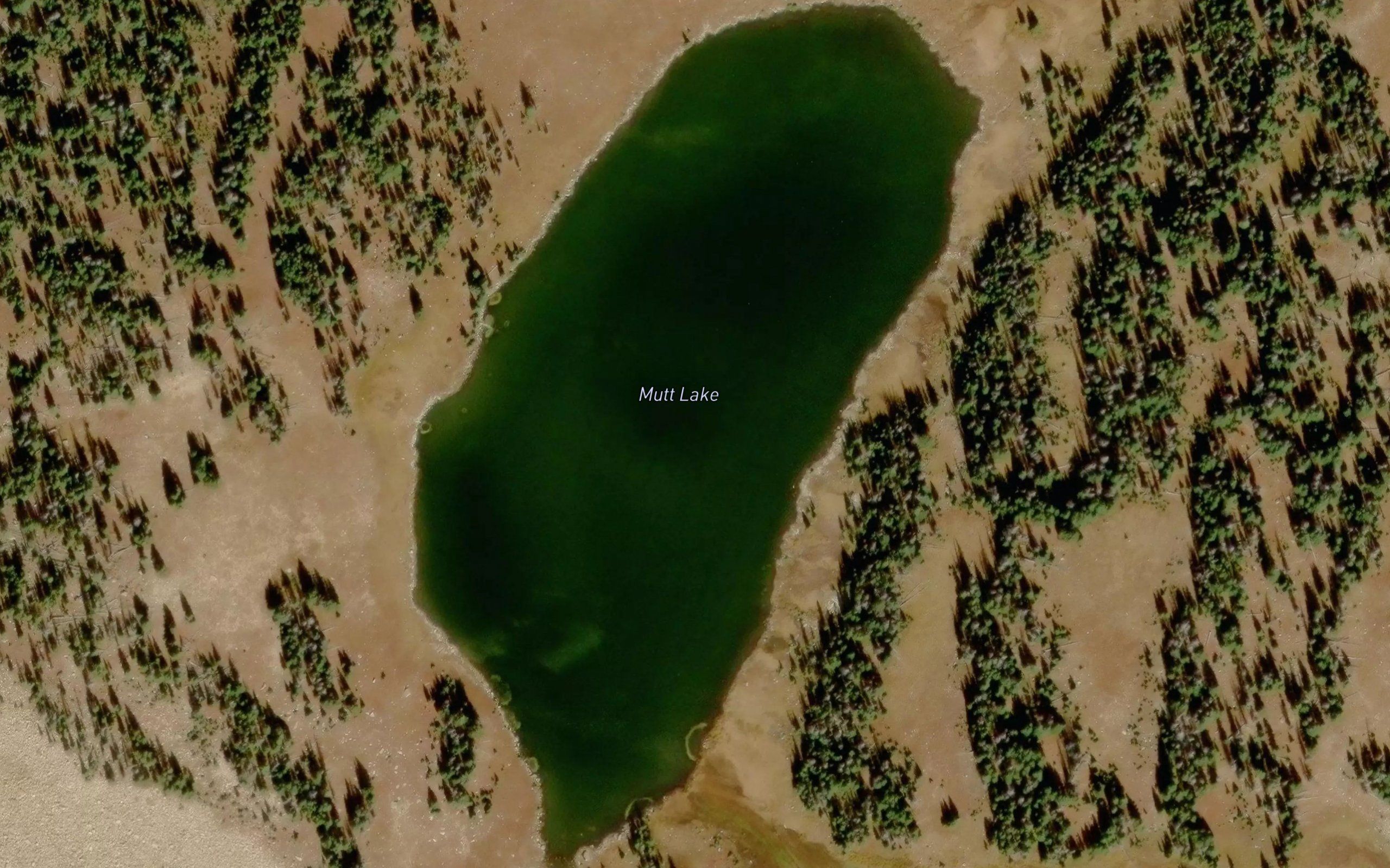 Mutt Lake