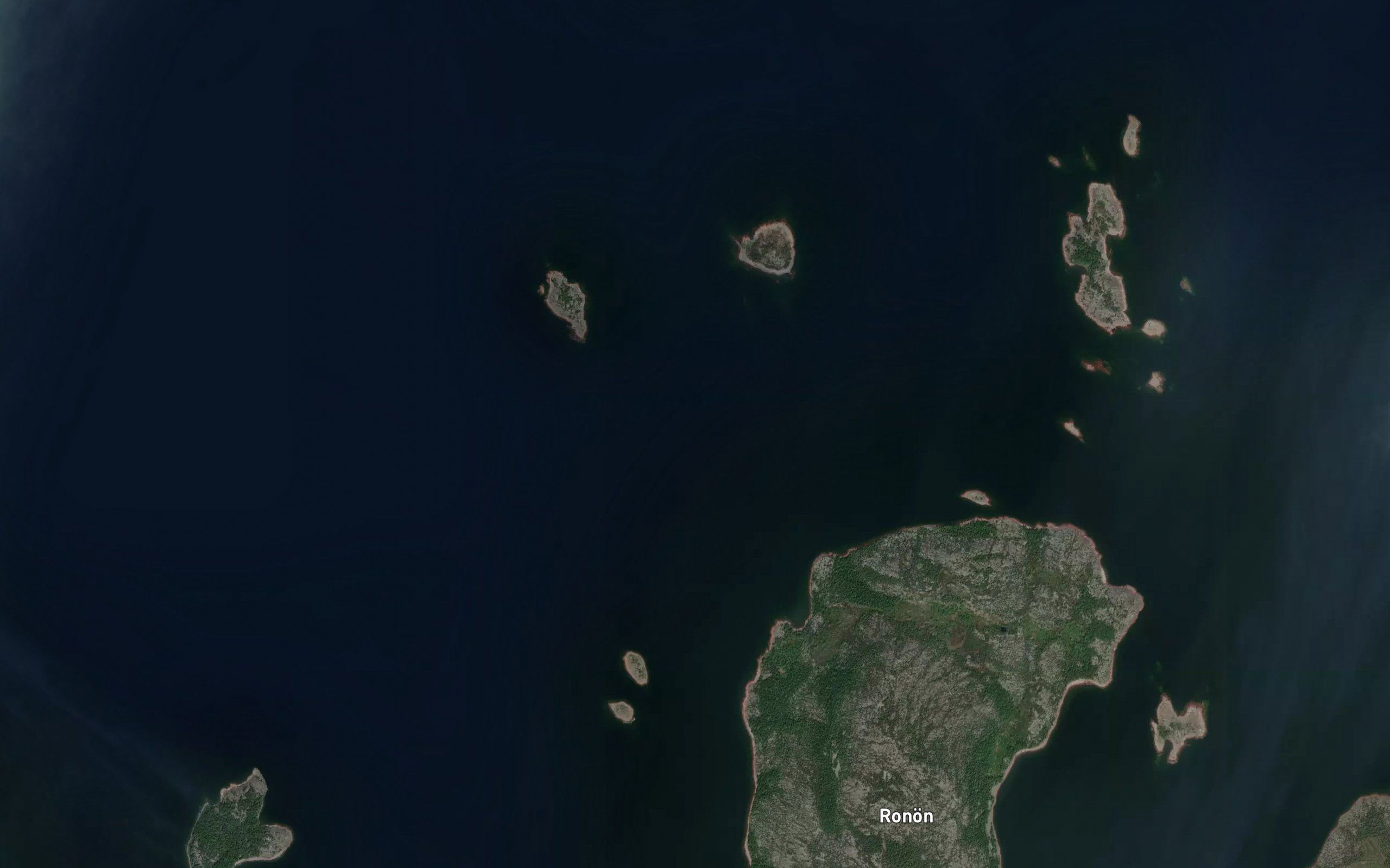 Buskgrundet