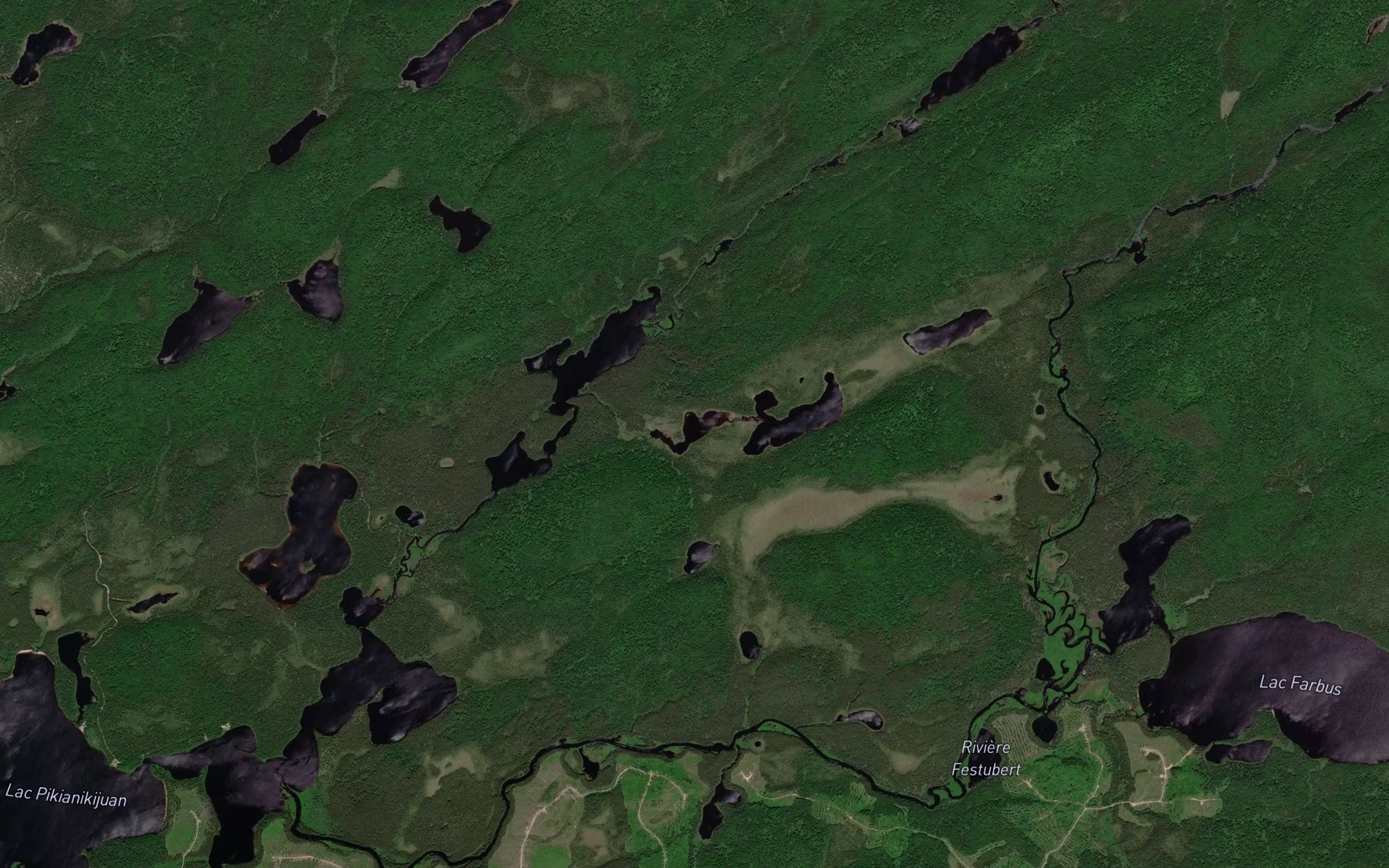 Satellite map of the Lac des Babouins