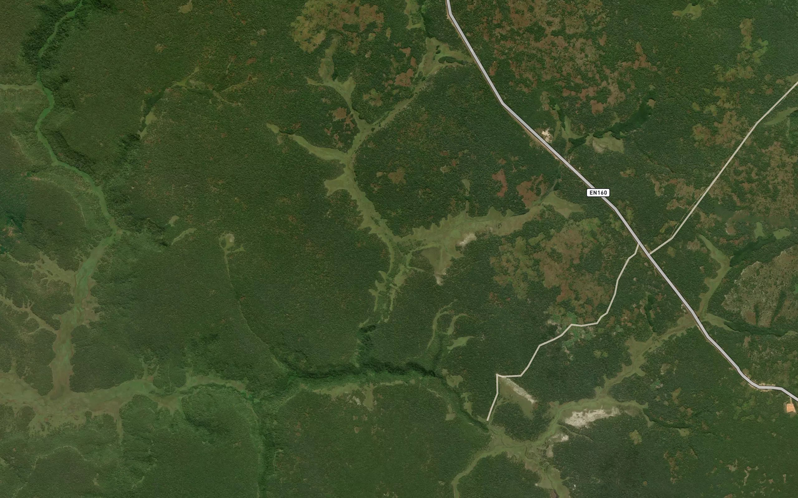 Mutona