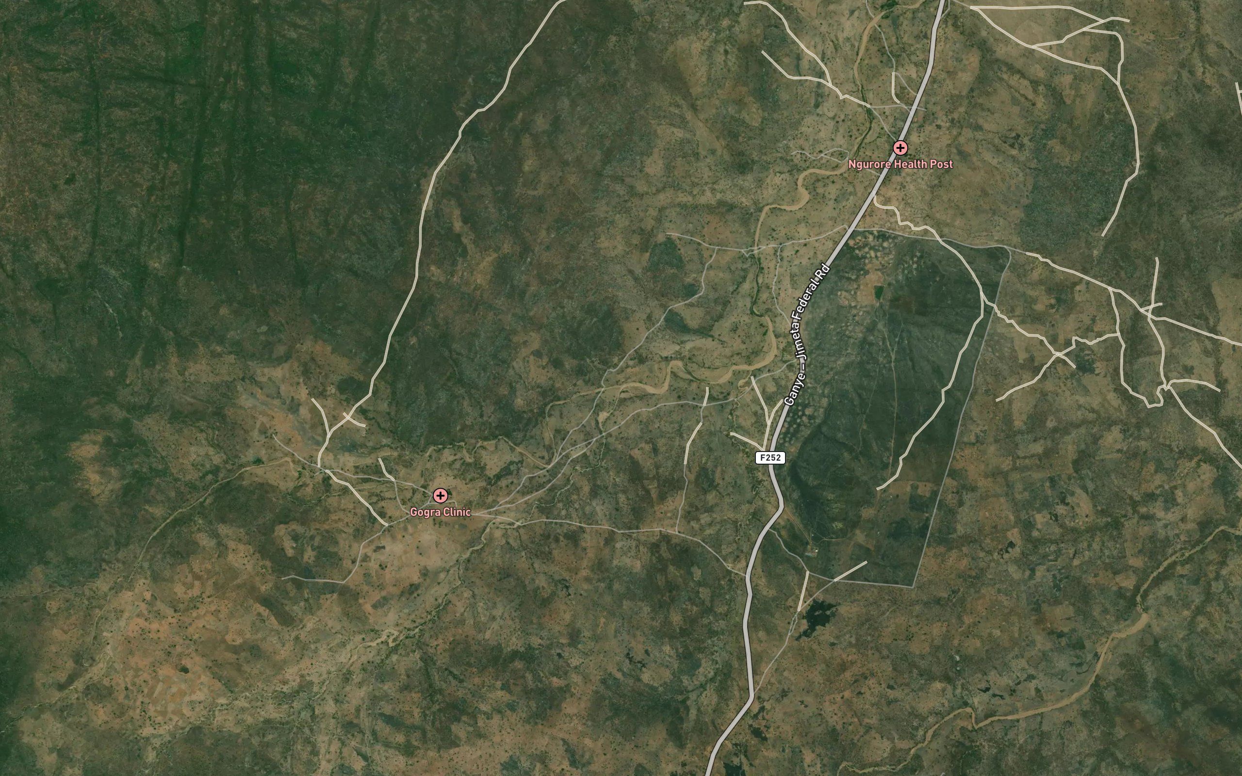 RiverDongi