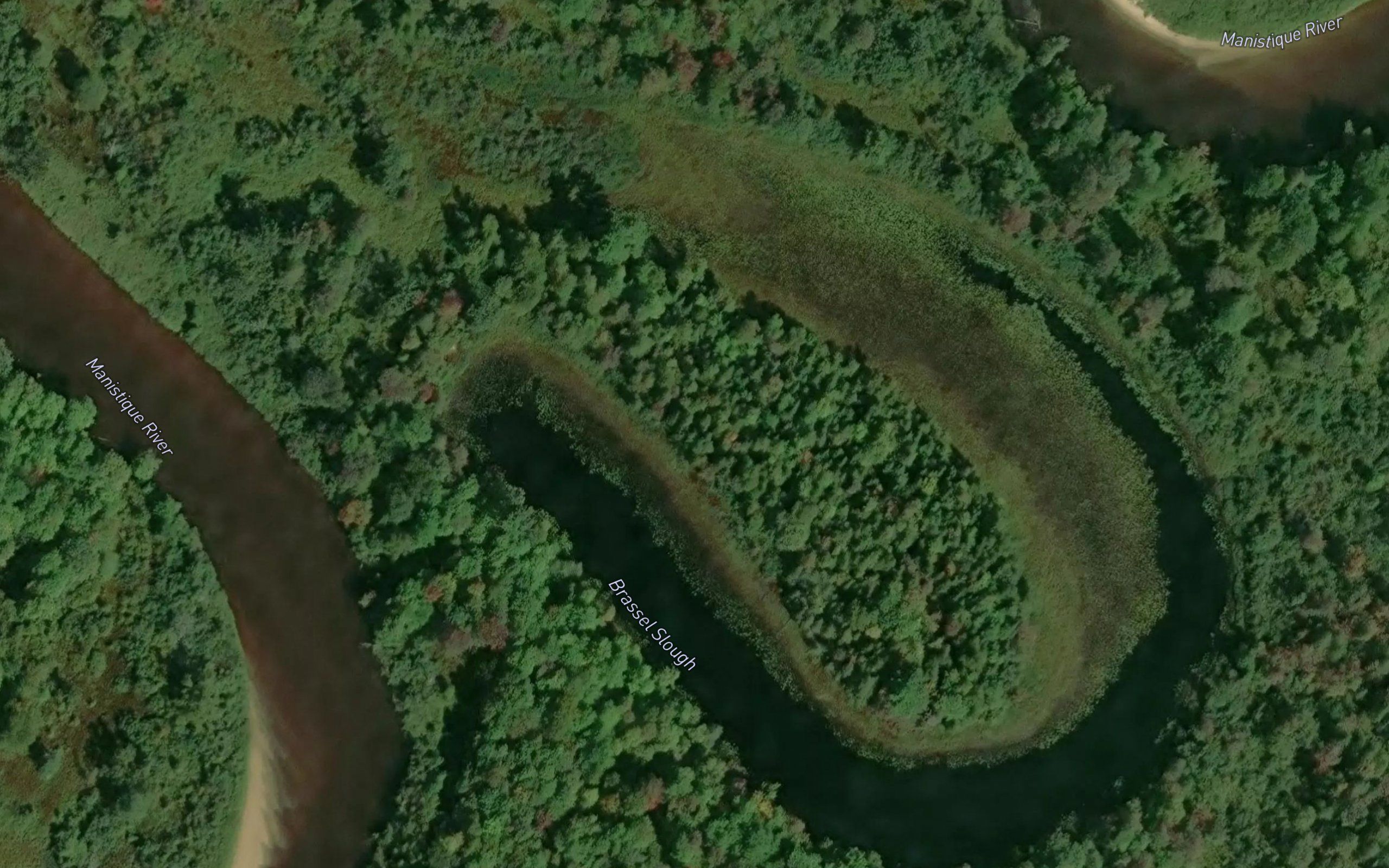 Brassel Slough