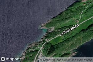 Oddvikja