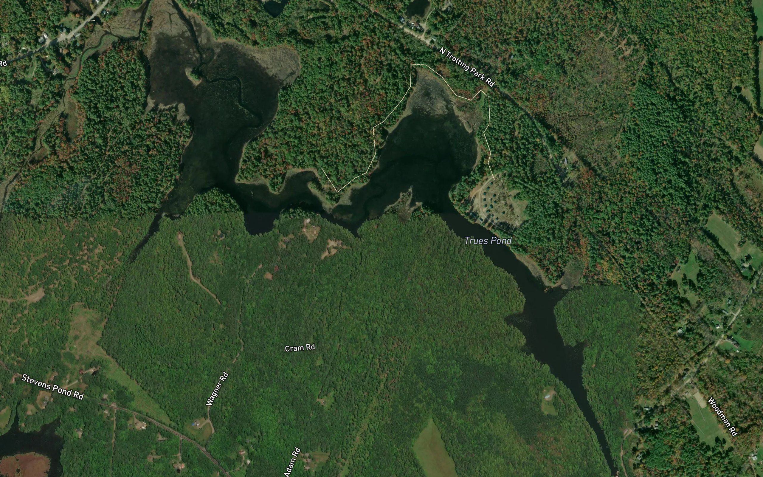 Trues Pond