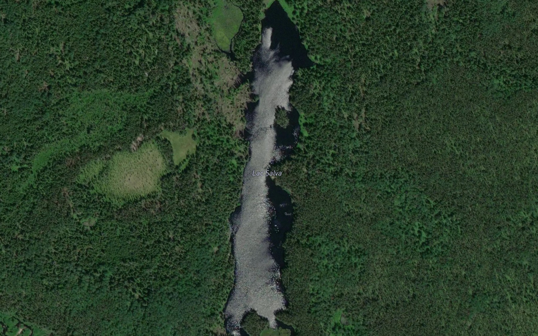 Satellite map of the Lac Salva