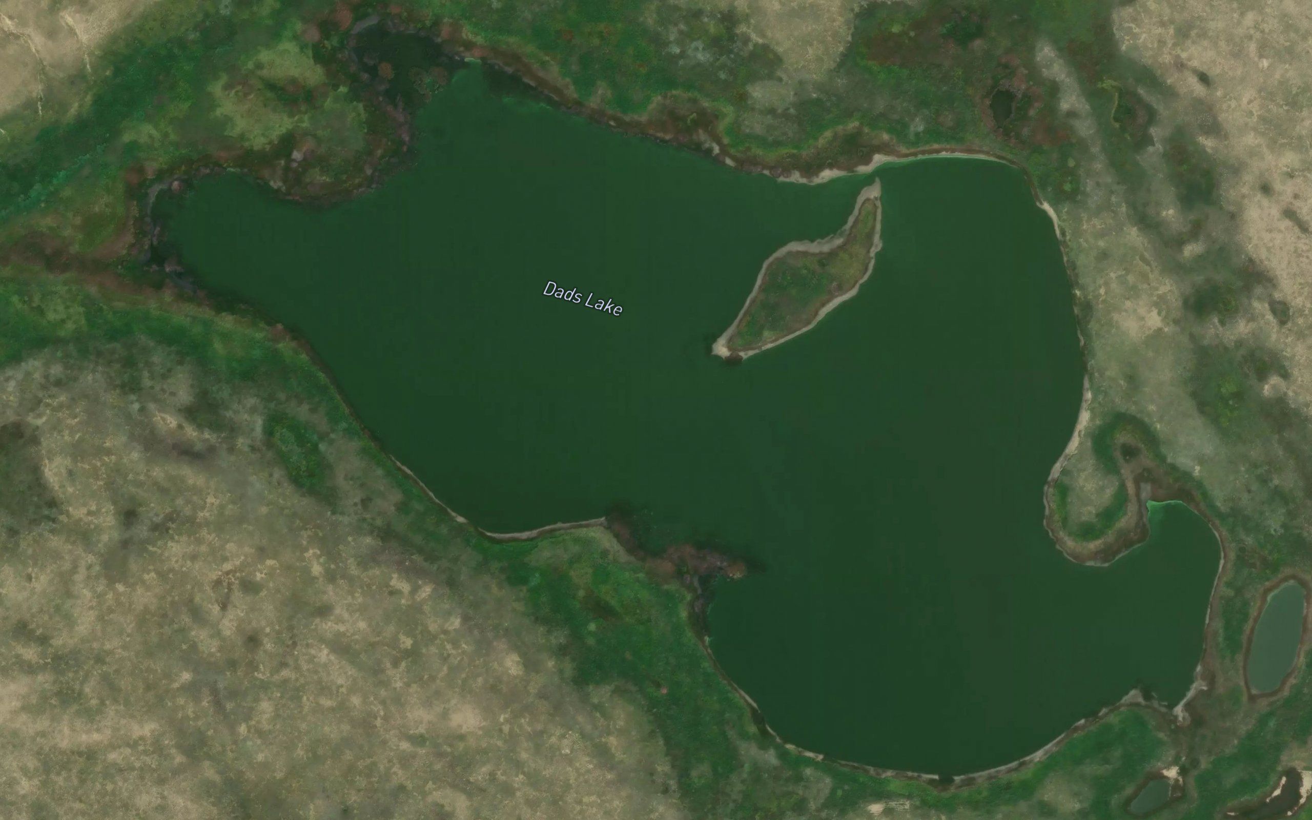 Dads Lake