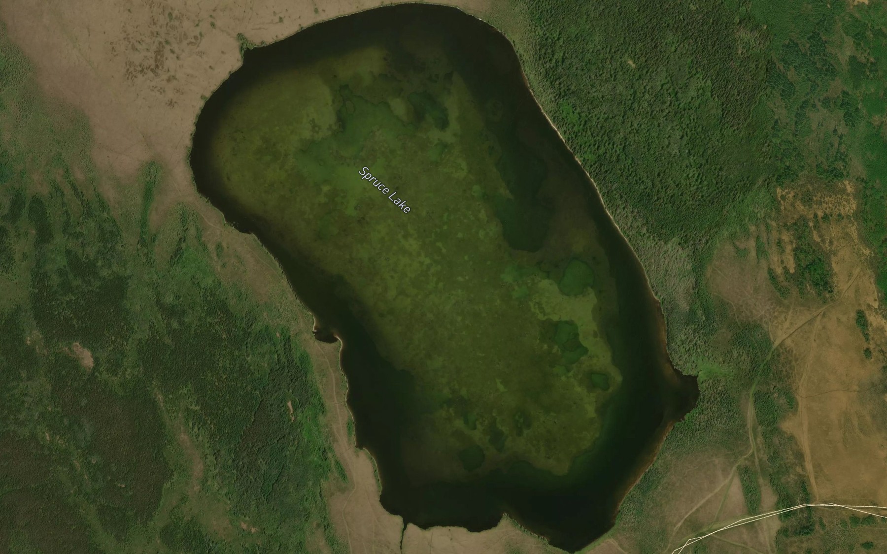 Satellite map of the Spruce Lake