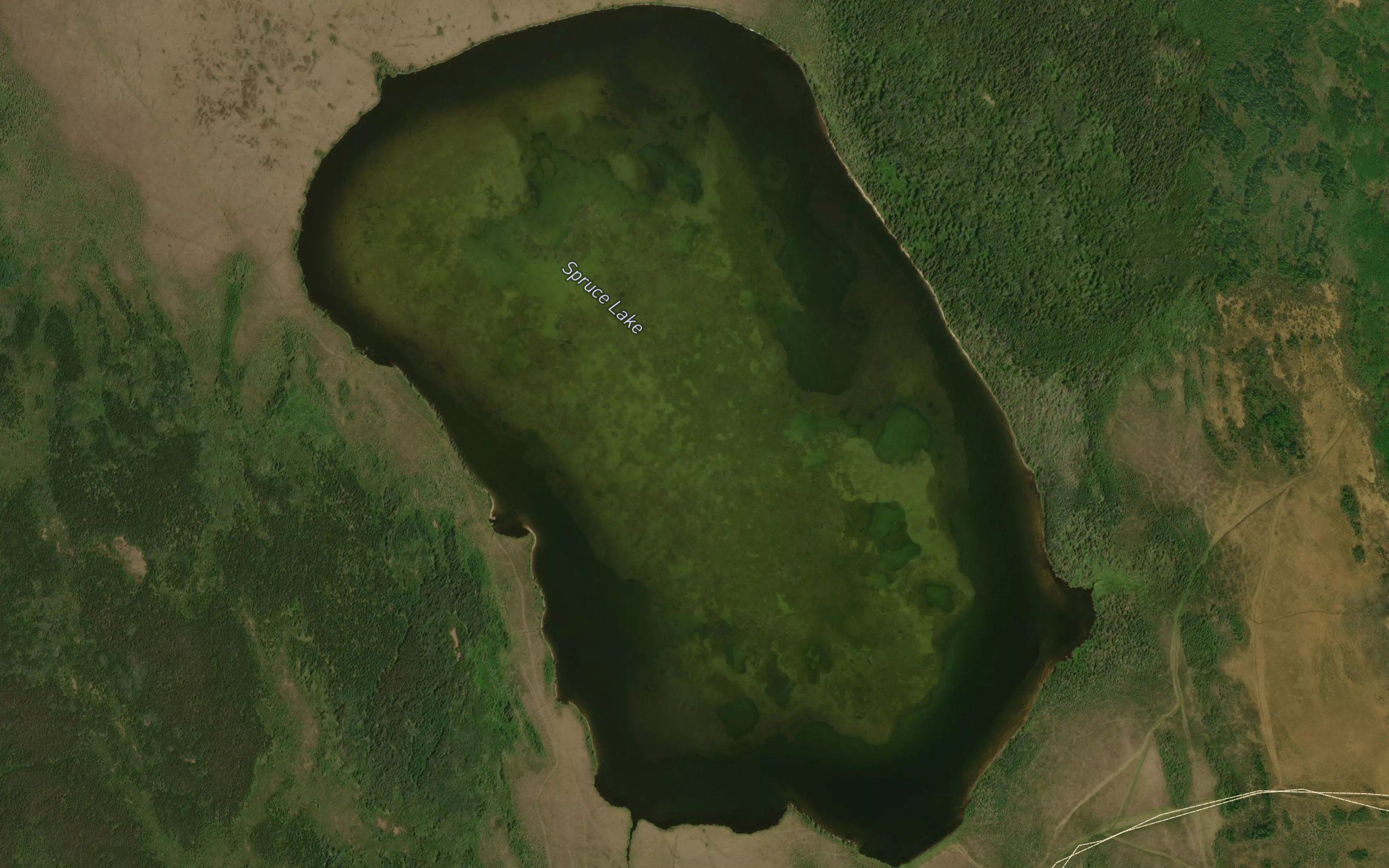 Spruce Lake