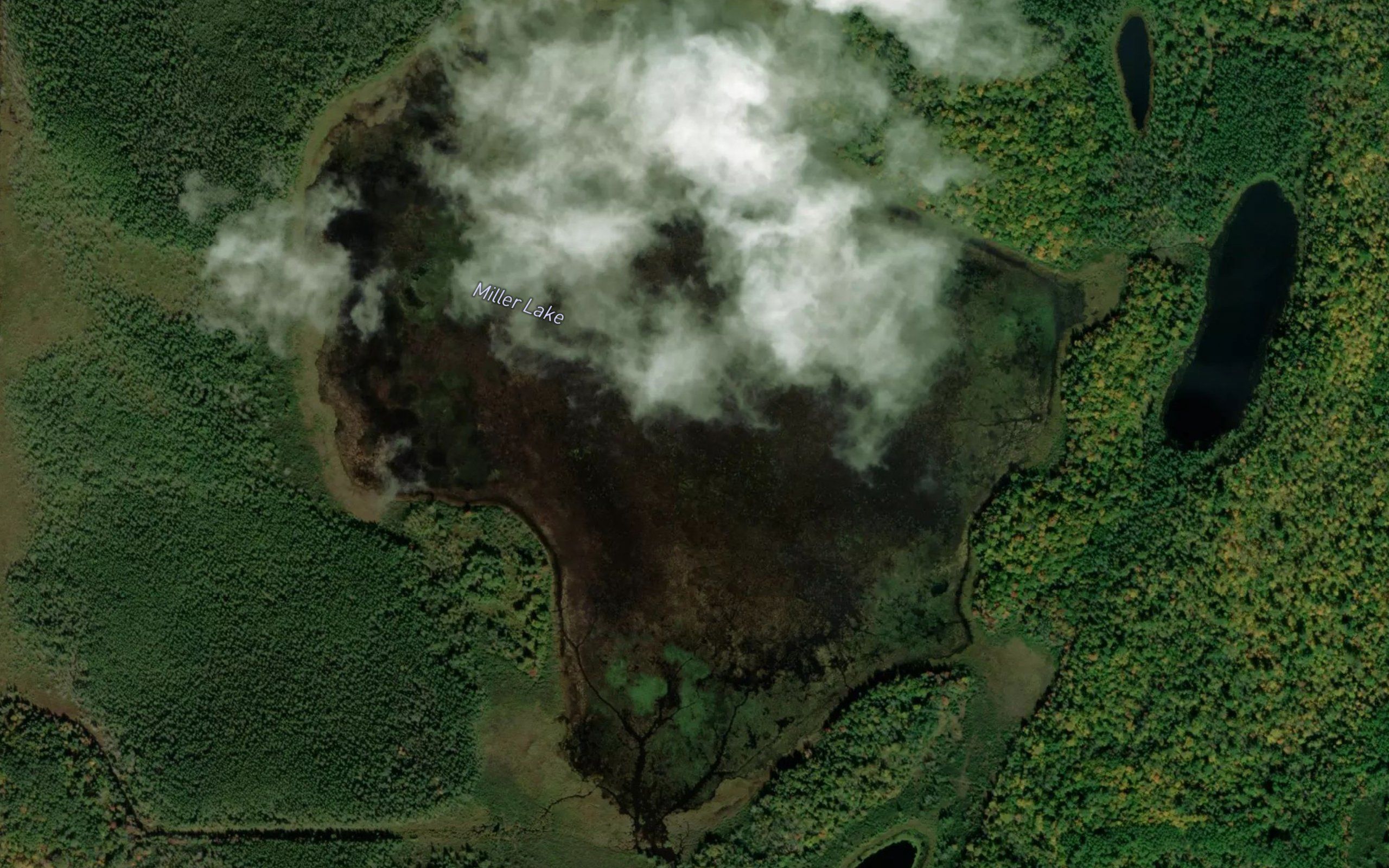 Miller Lake