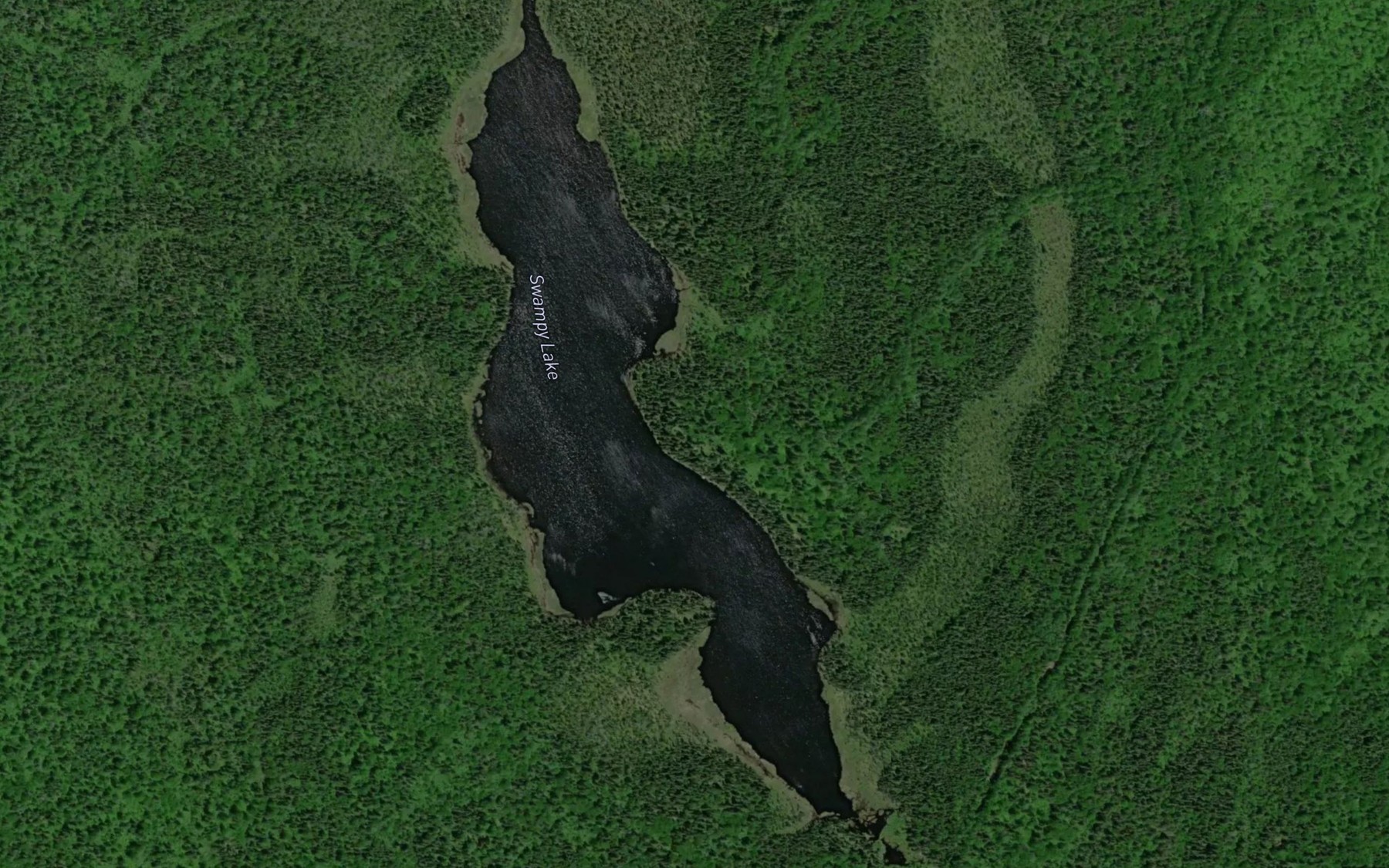 Satellite map of the Swampy Lake
