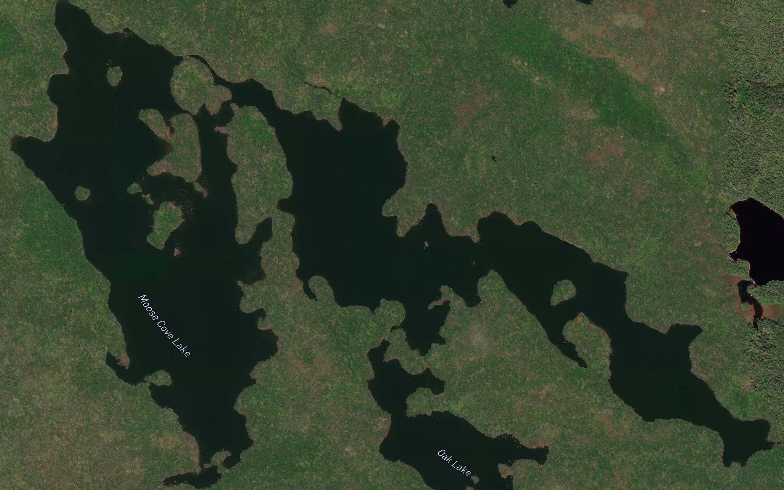 Moose Cove Lake