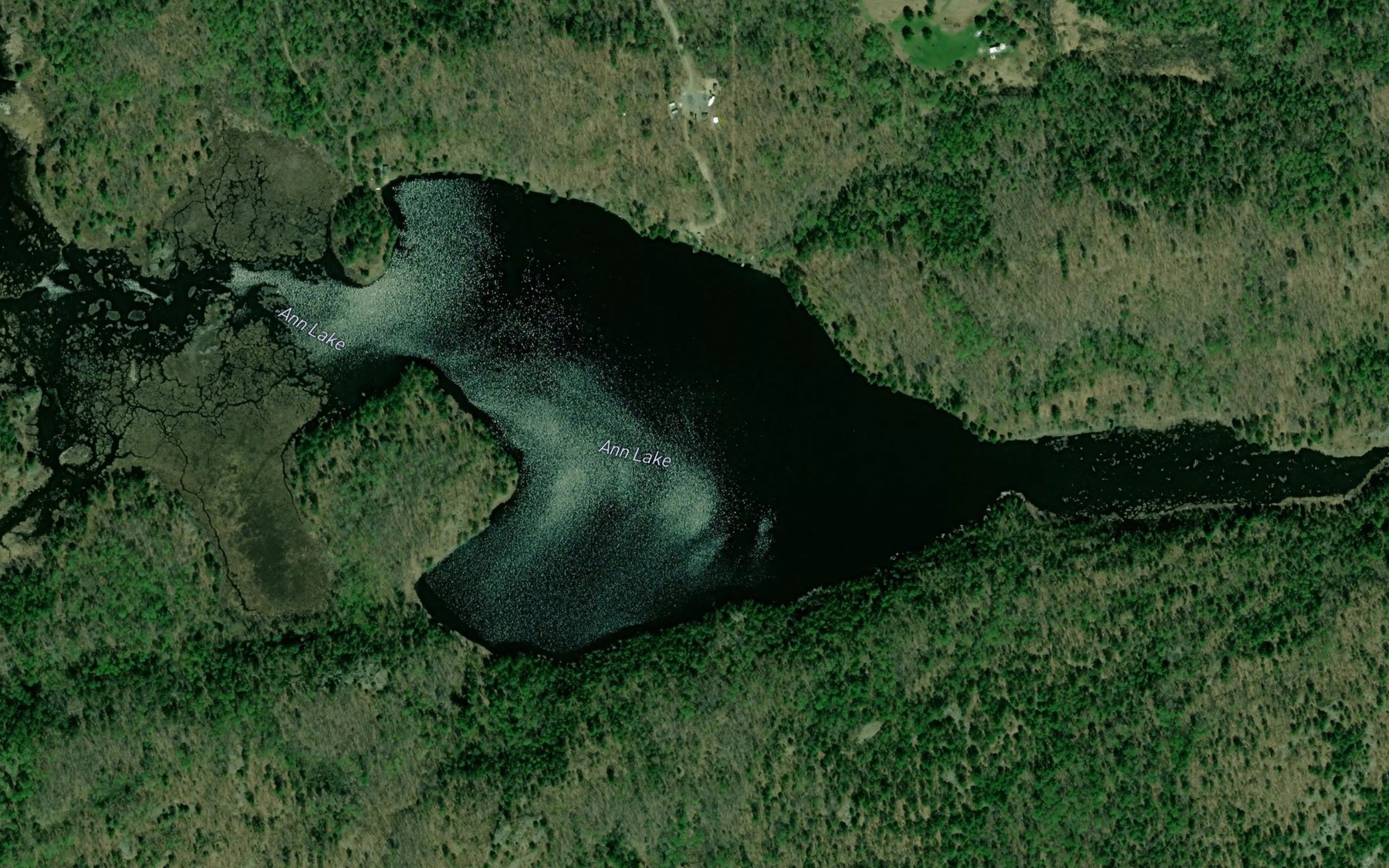 Satellite map of the Ann Lake