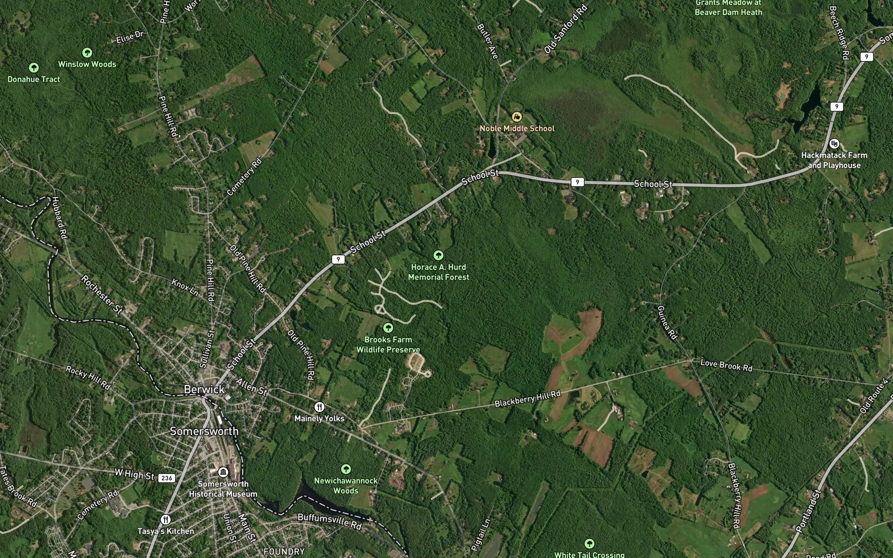 Satellite map of the Mulloy Brook