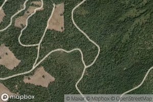 Tamarack Spring
