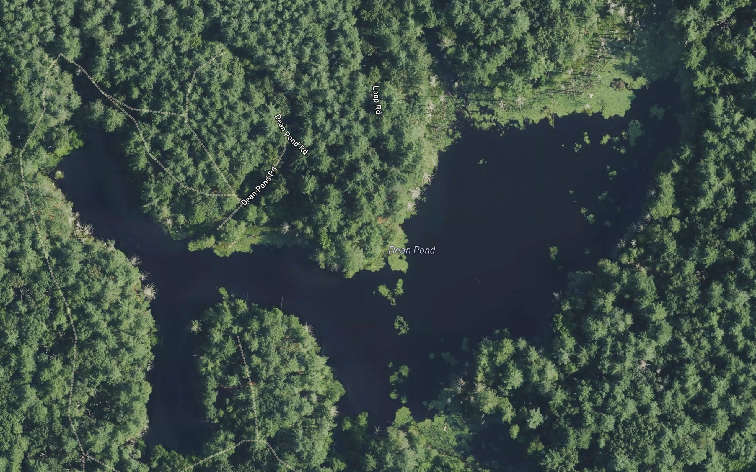 Dean Pond