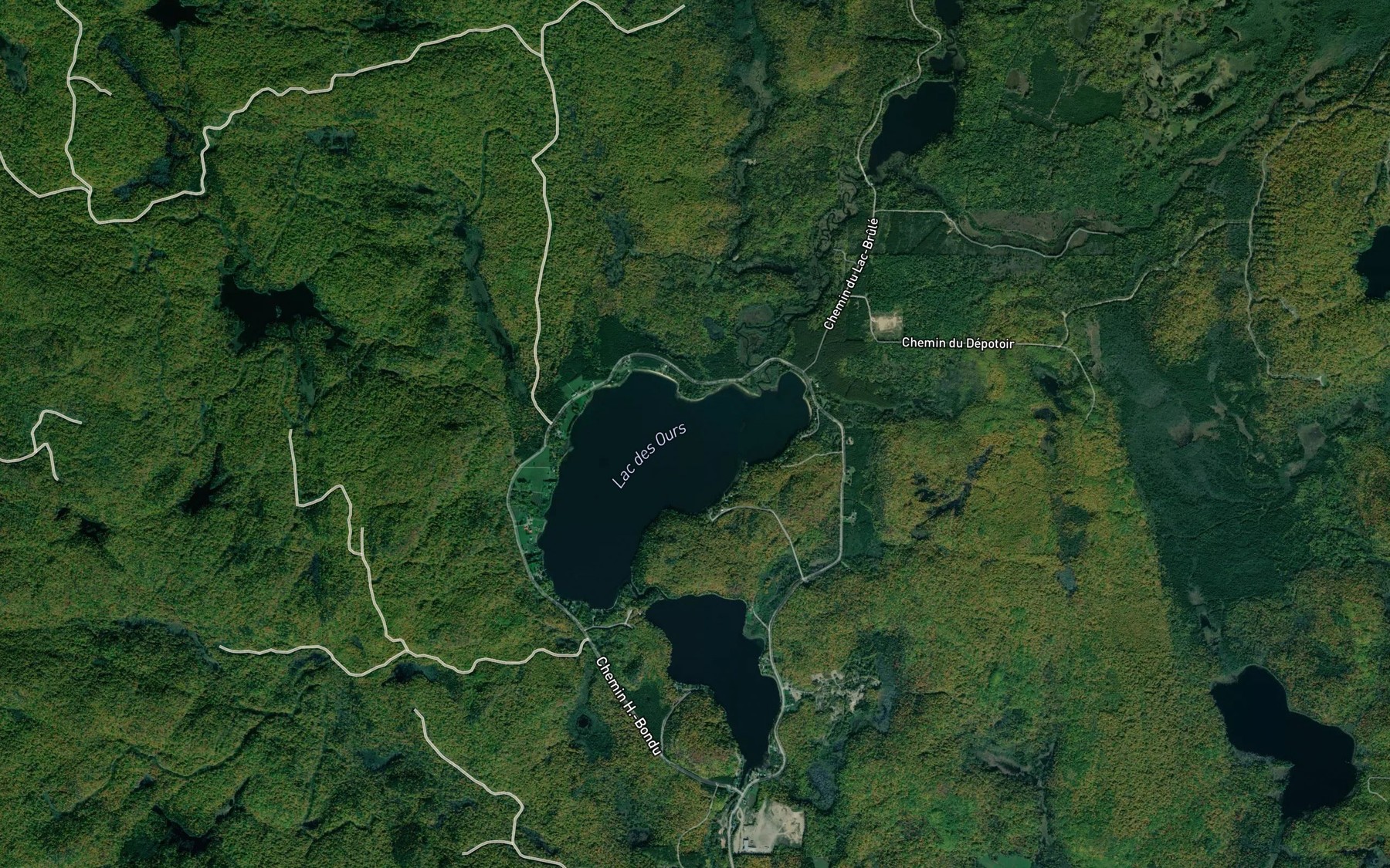 Satellite map of the Crique chez Gougeon