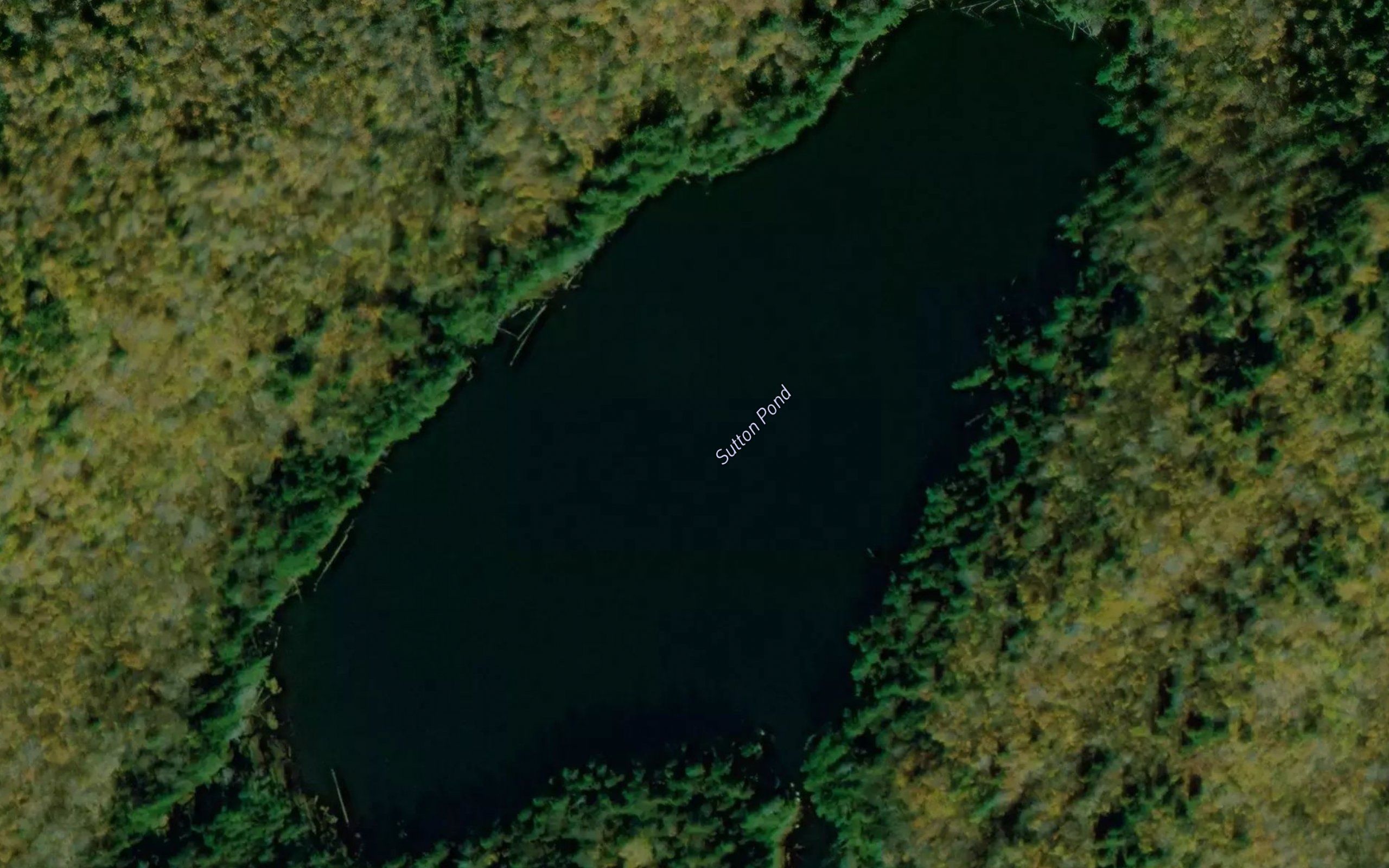 Sutton Pond
