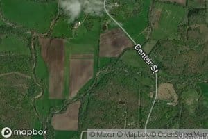 Bauer Branch