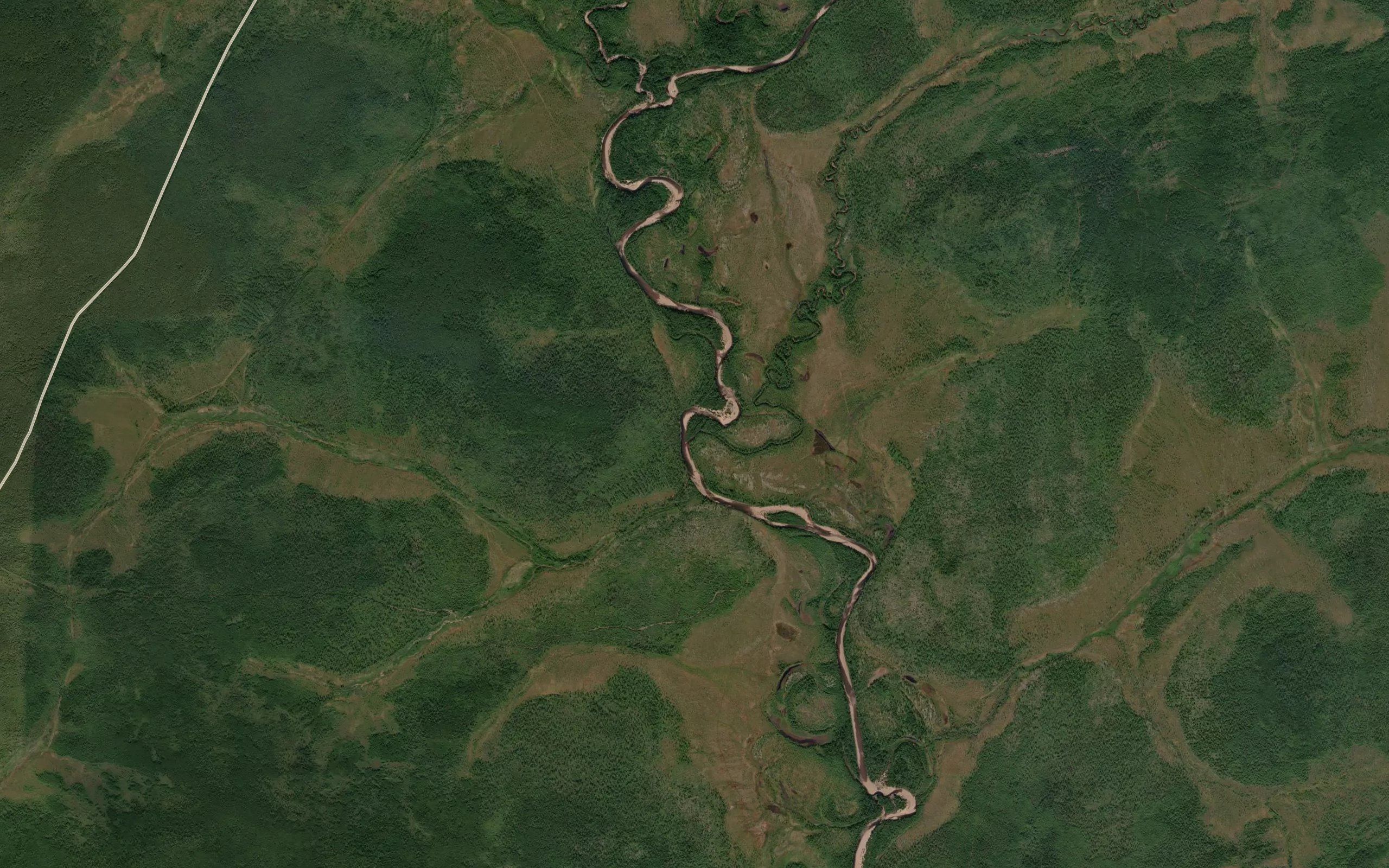 Orogachi
