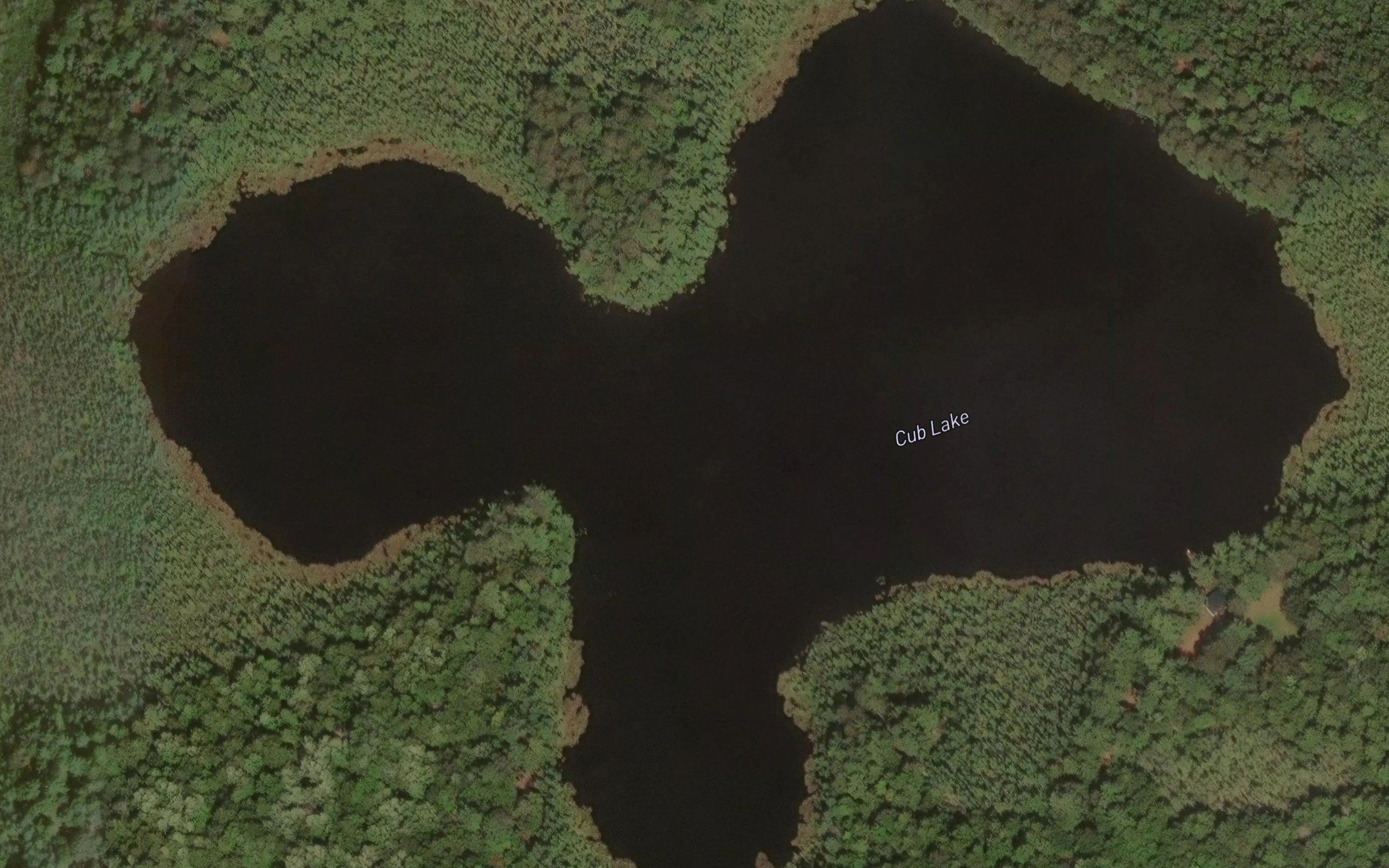 Cub Lake