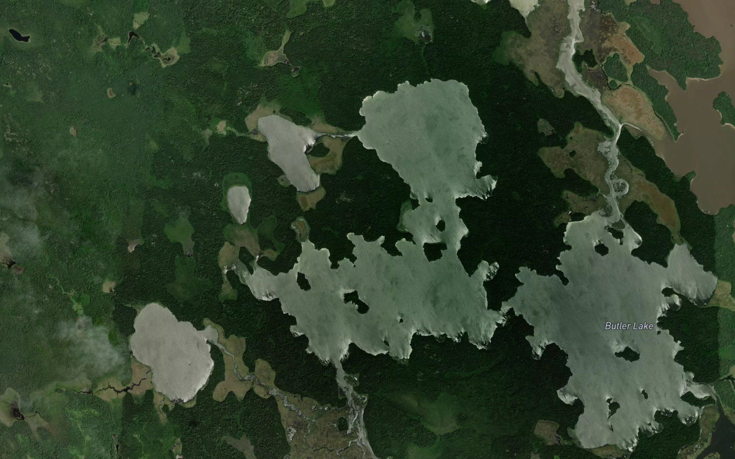 Mud Bay
