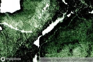 Lac Cure-Dent