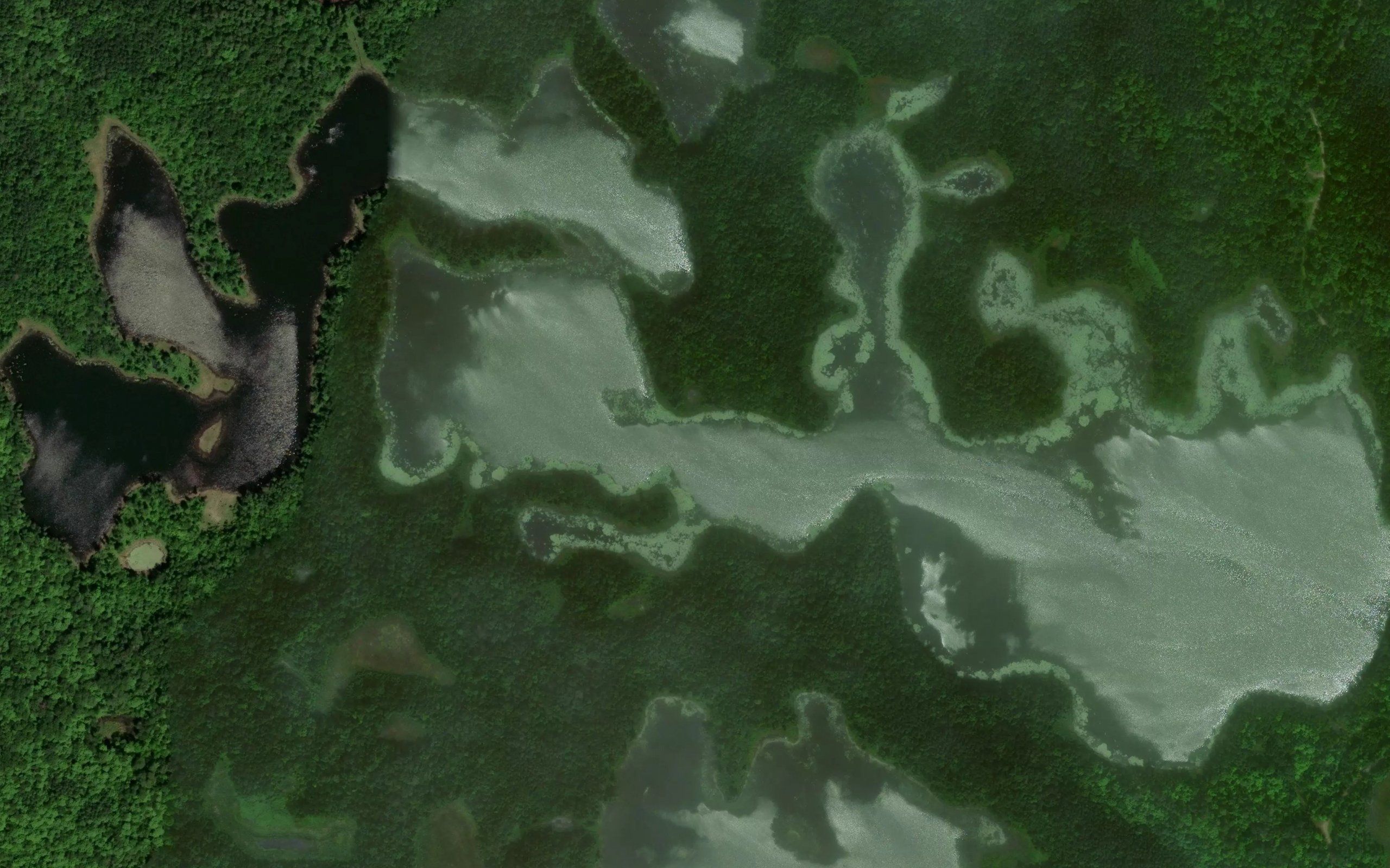 Northern Lake