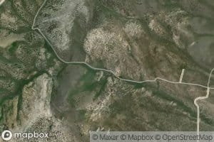 Chokecherry Spring