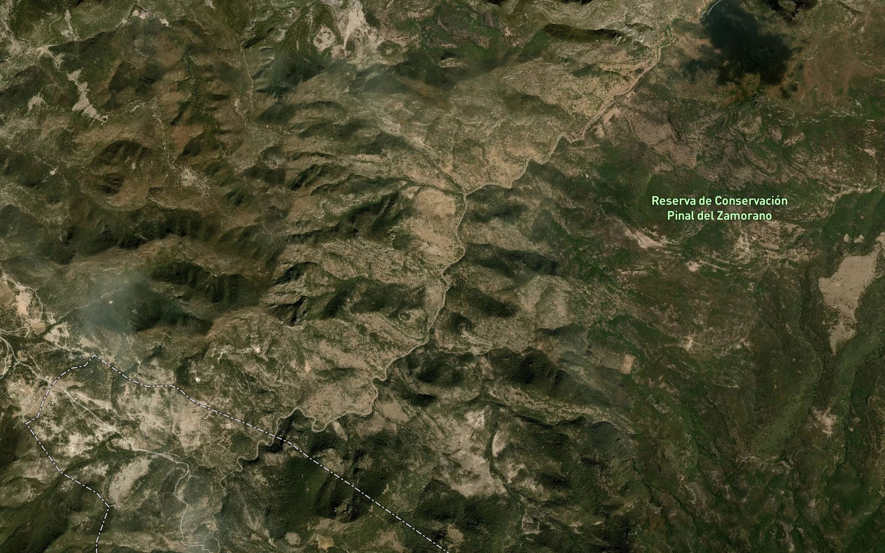 Satellite map of the Piesecito