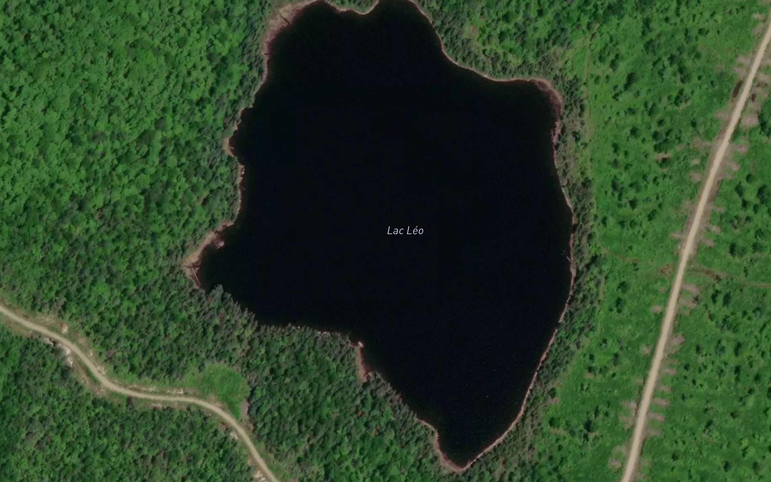 Lac Leo