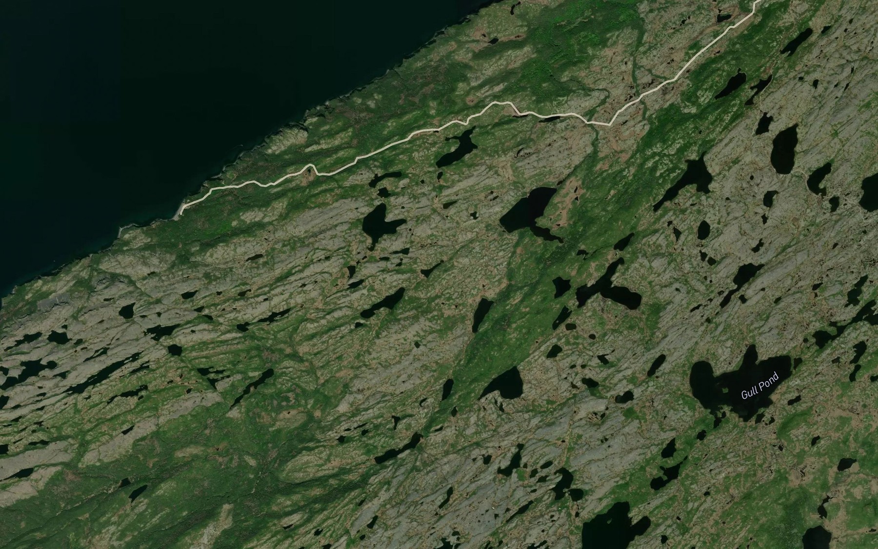 Satellite map of the Coffee Pond