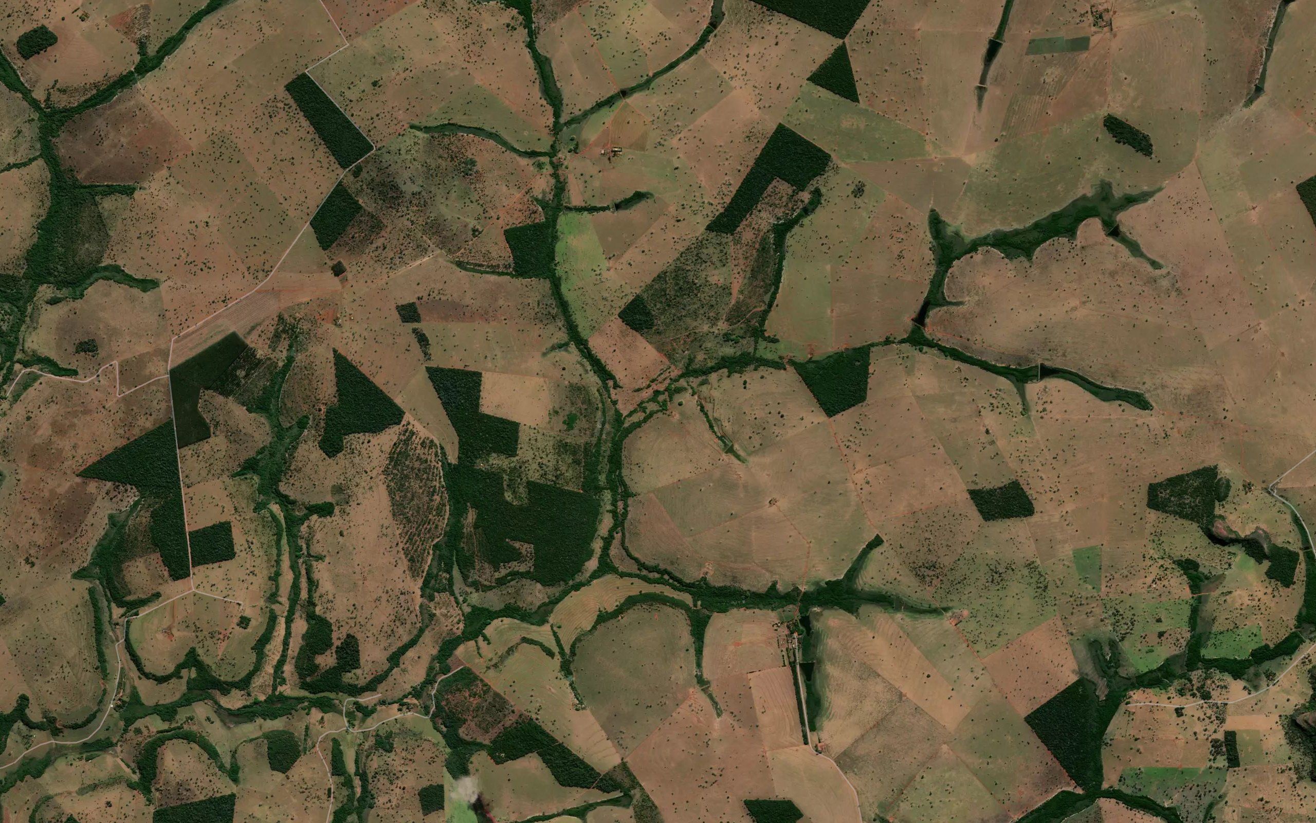 Corrego dos Porcos