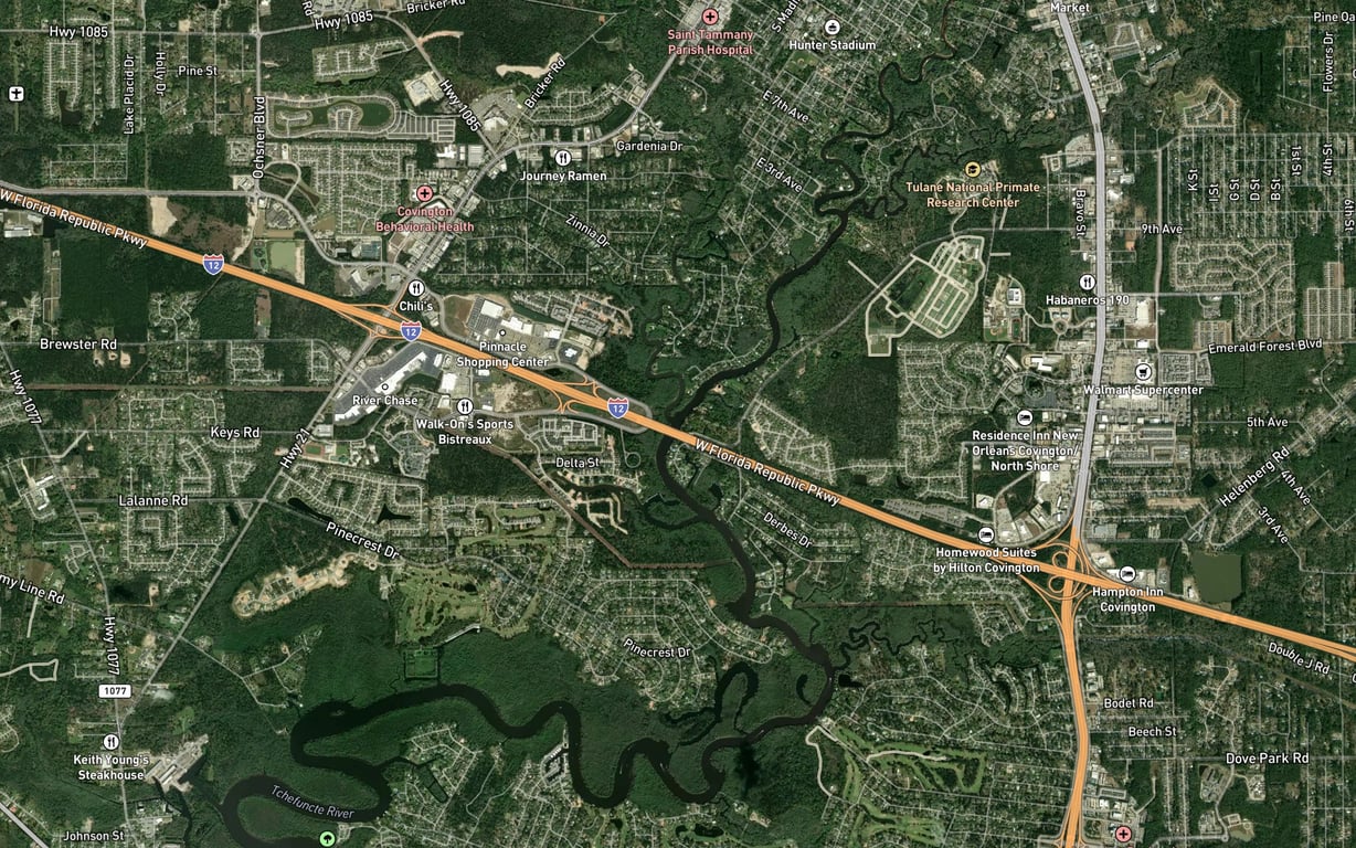 Bogue Falaya Fishing in Louisiana 2026 — Live Reports, Forecast & AI ...