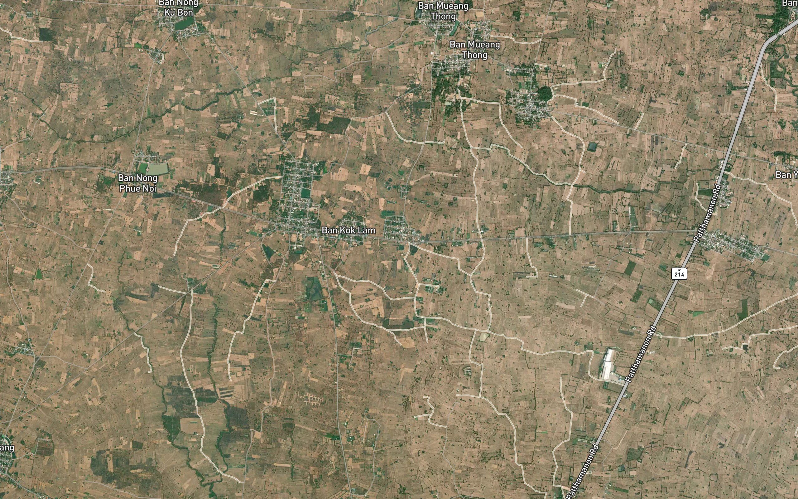 Nong Sim