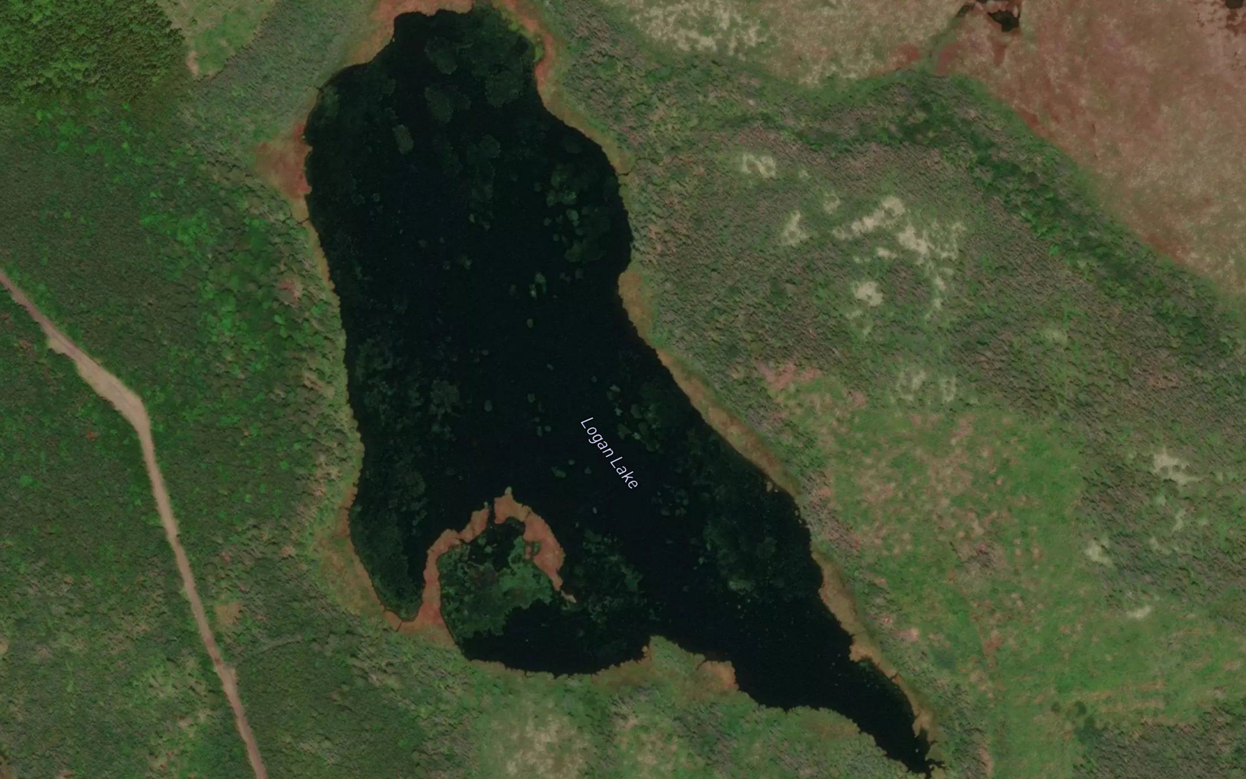Logan Lake