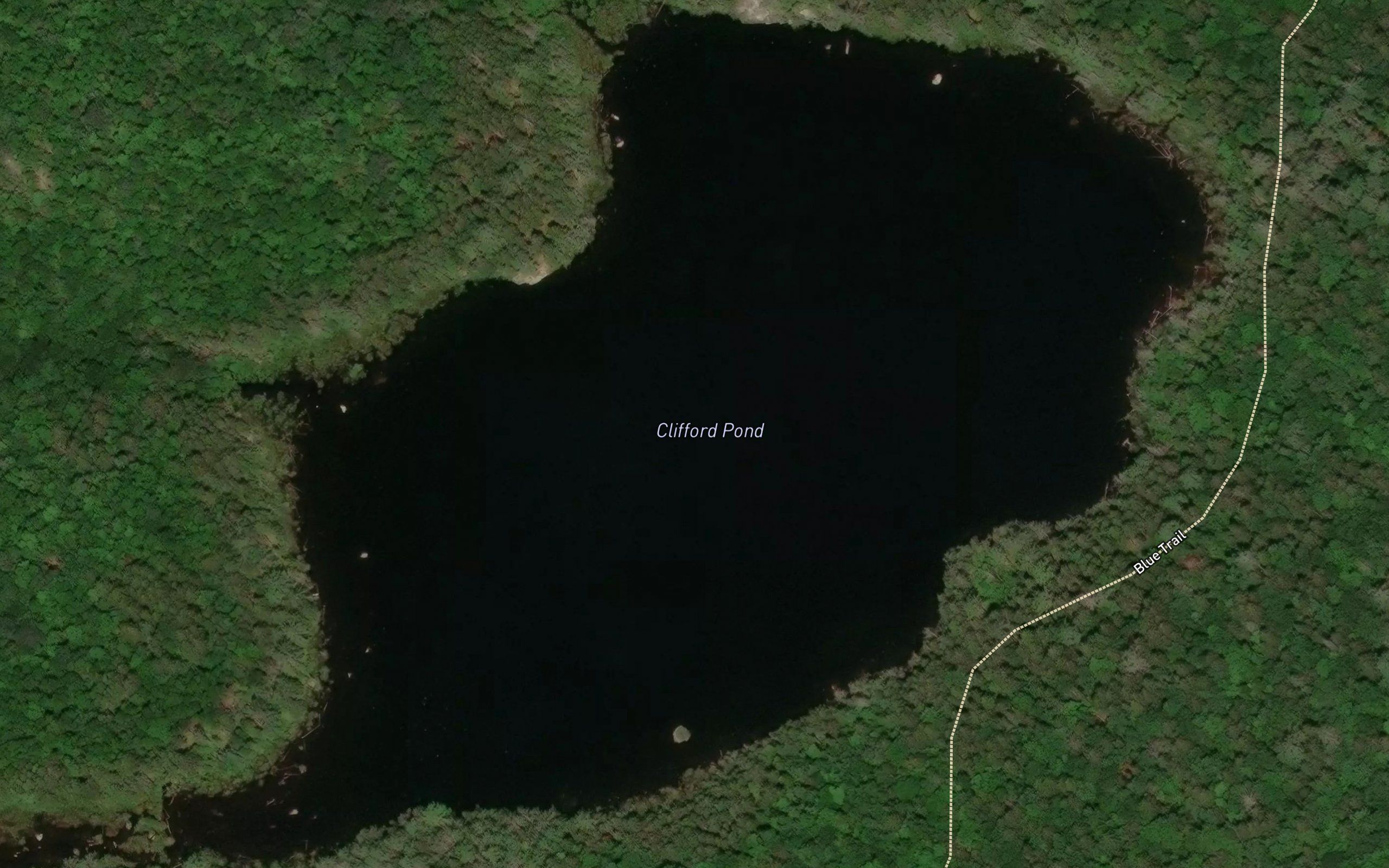 Clifford Pond