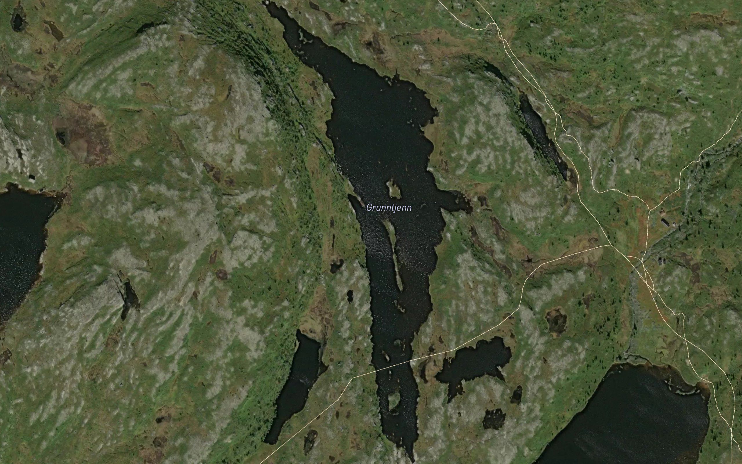 Grunntjern