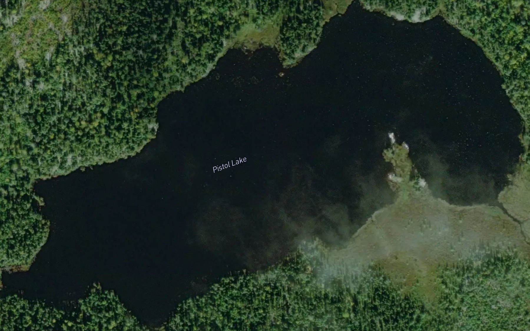 Satellite map of the Pistol Lake