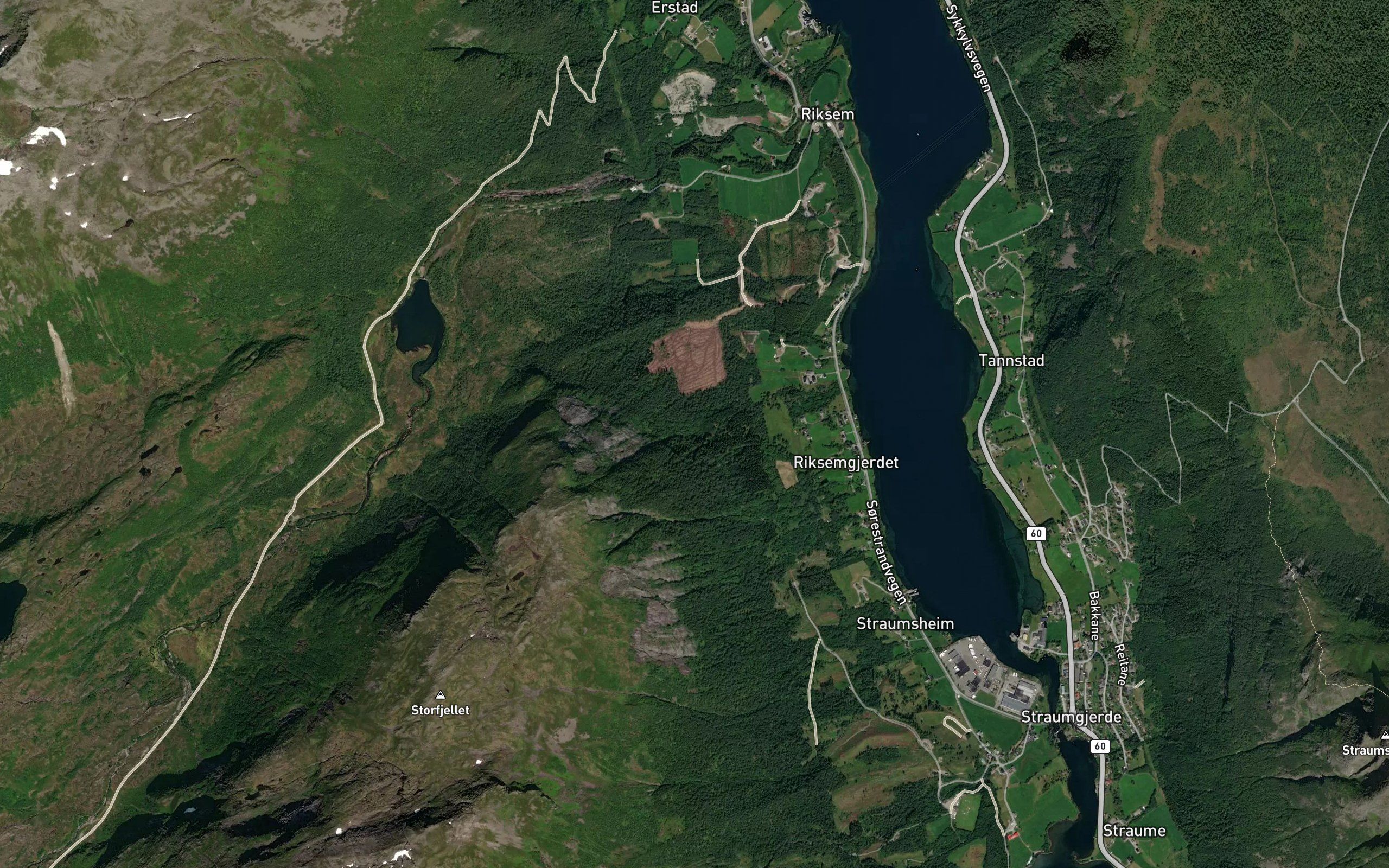 Snippegrova