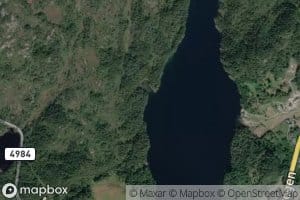 Saetravika