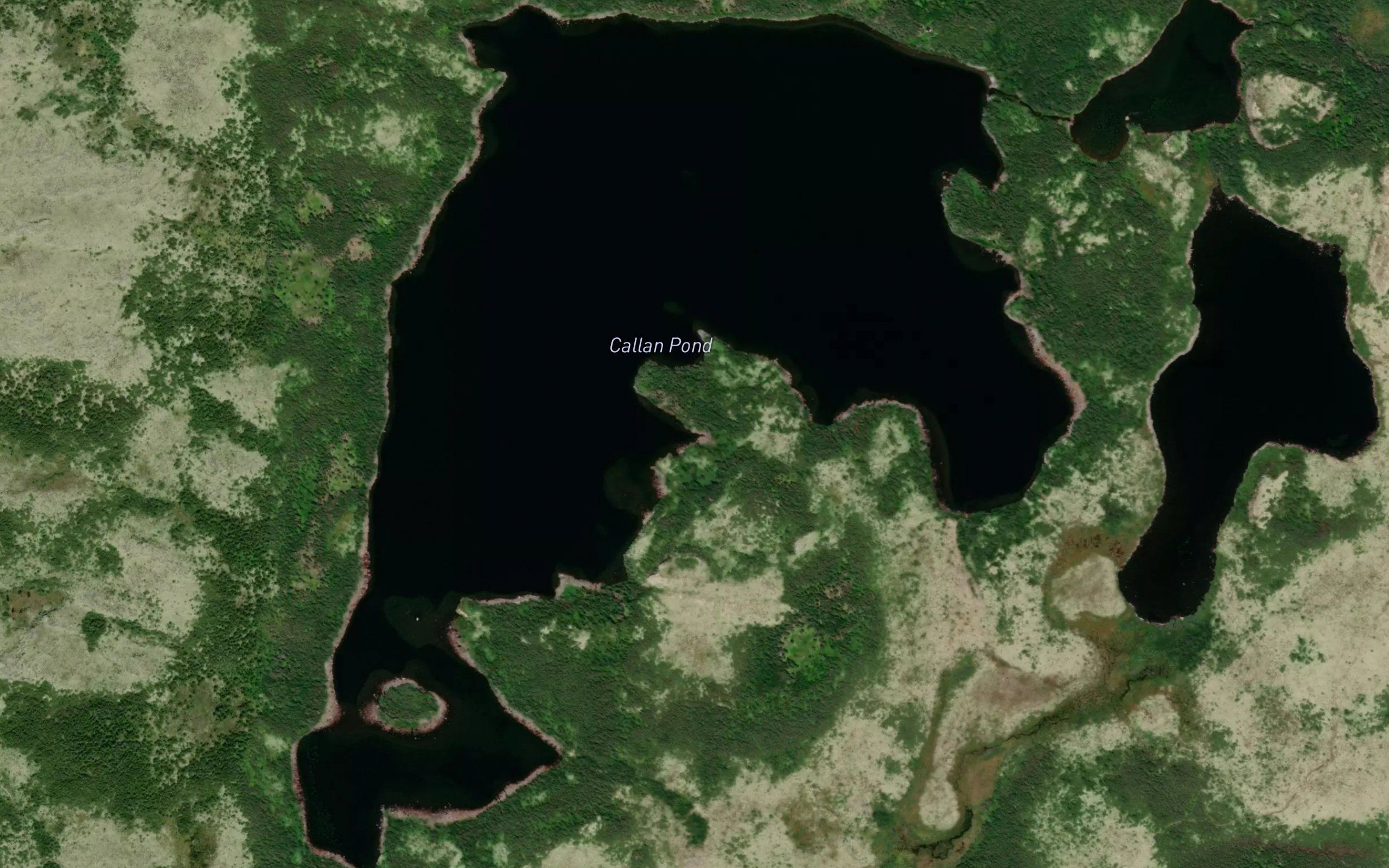 Callan Pond