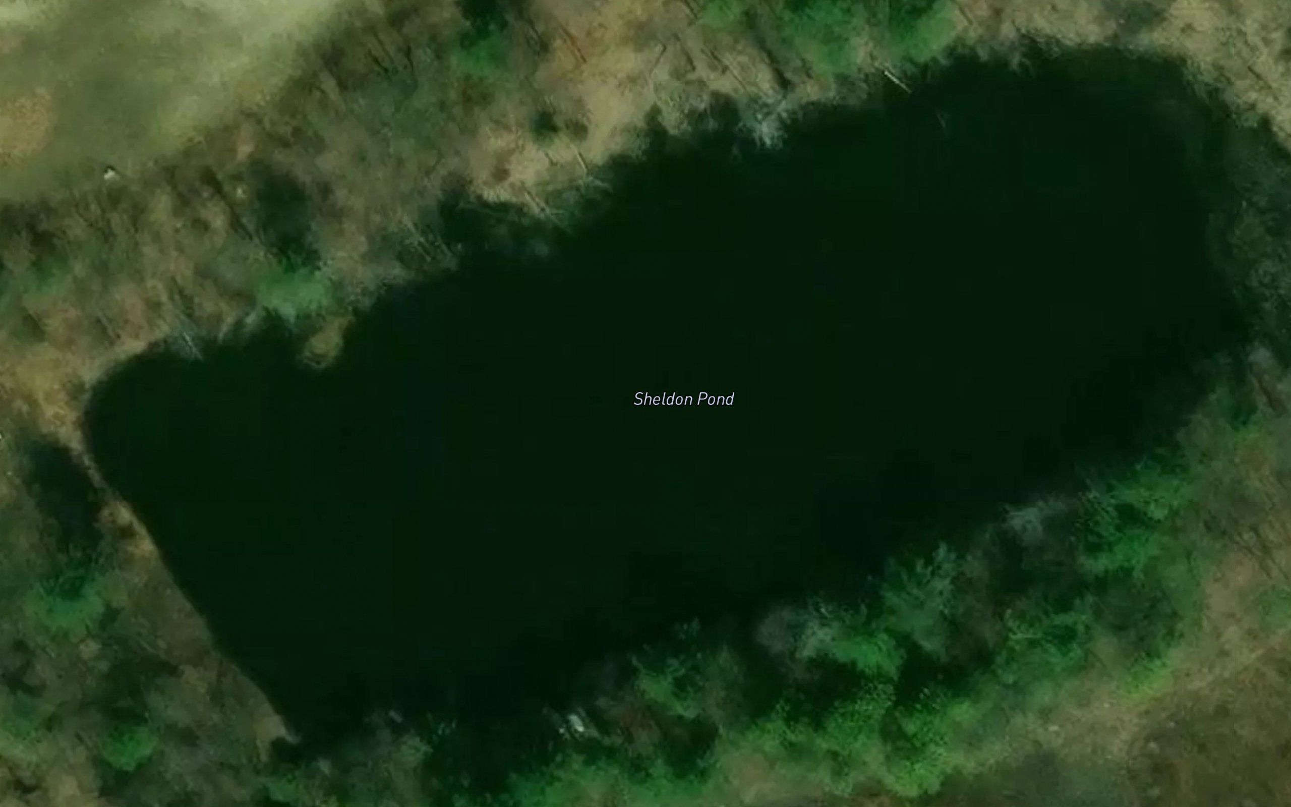 Sheldon Pond
