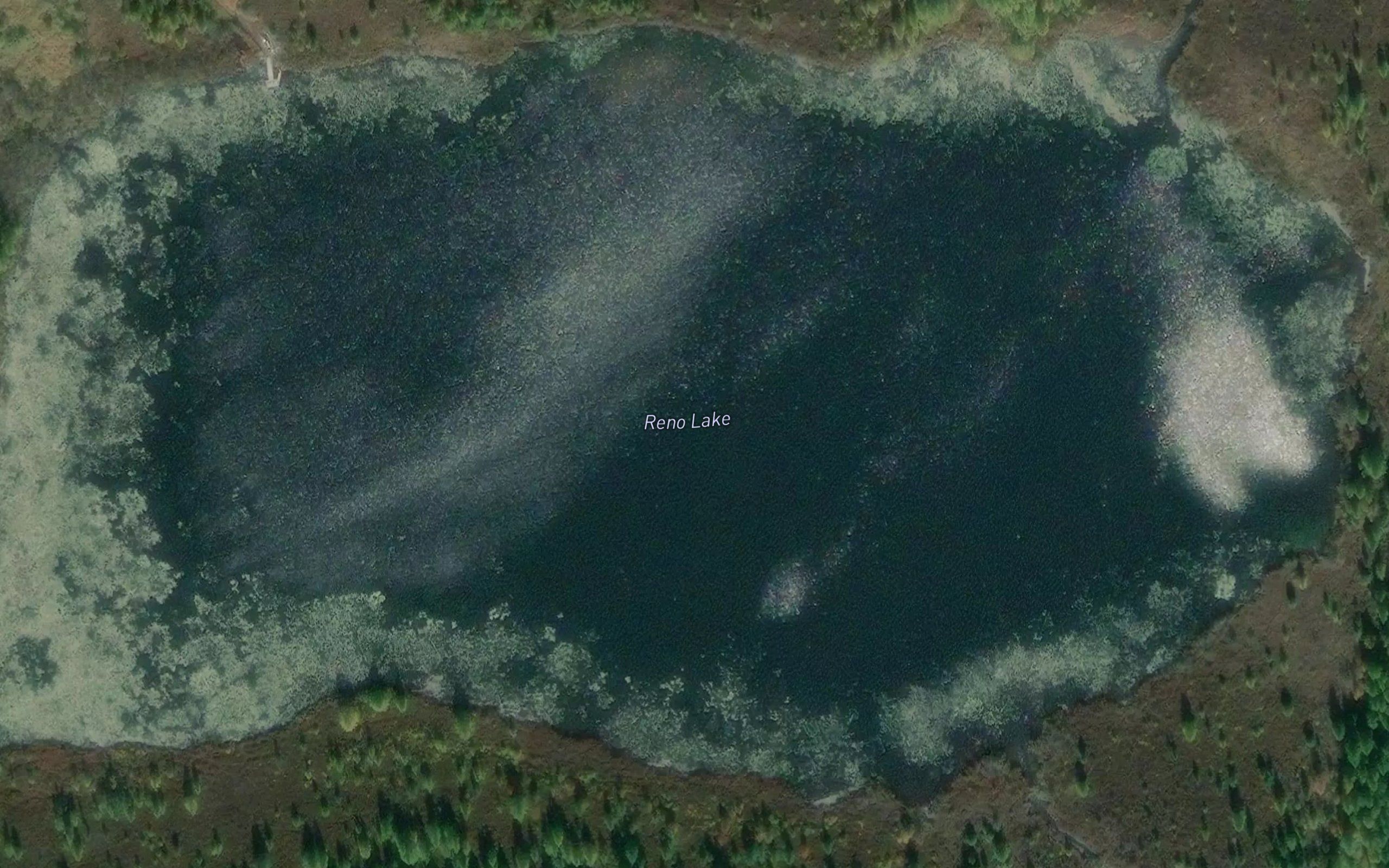 Reno Lake