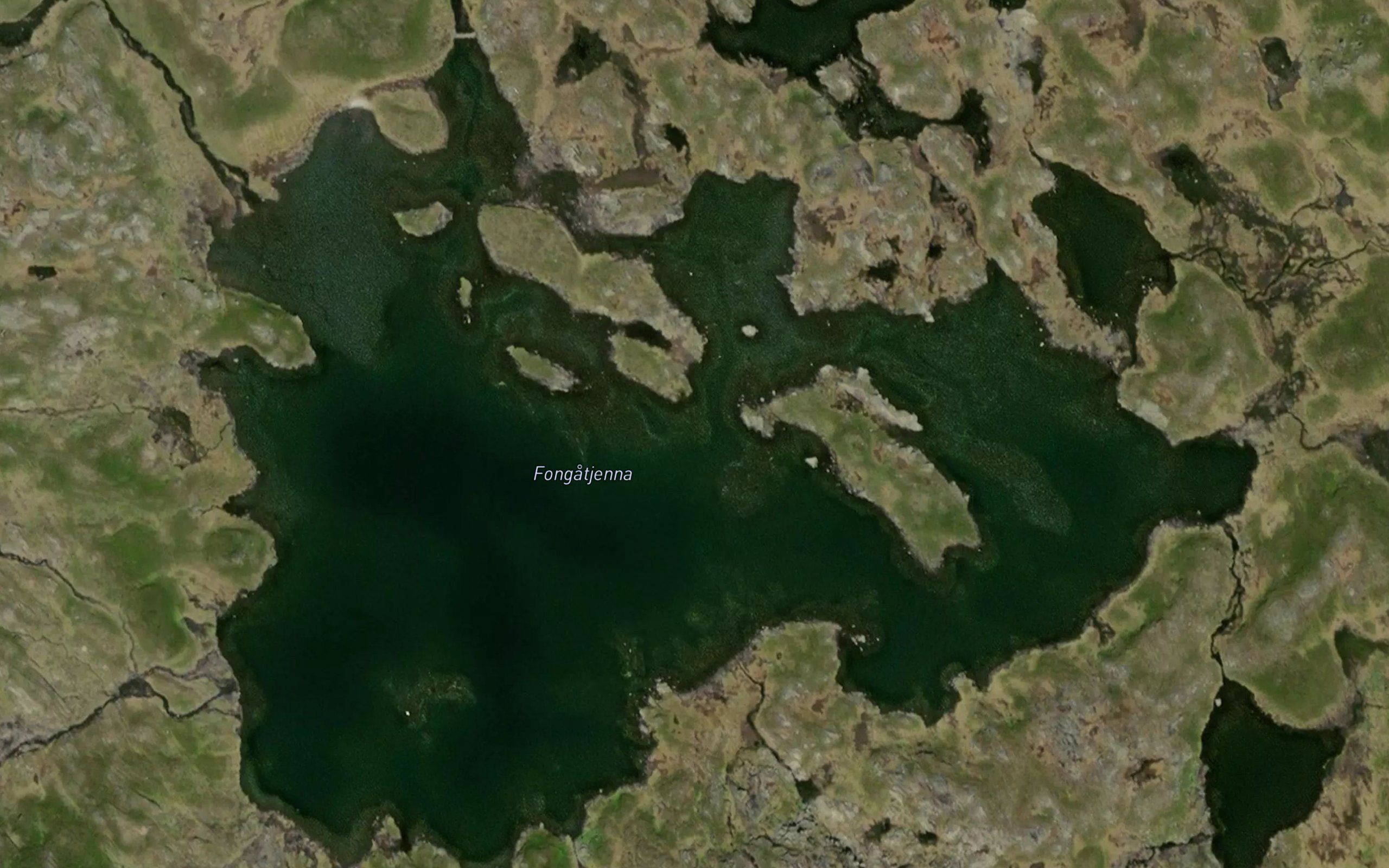 Fongatjorna