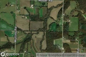 Turkey Trot Creek
