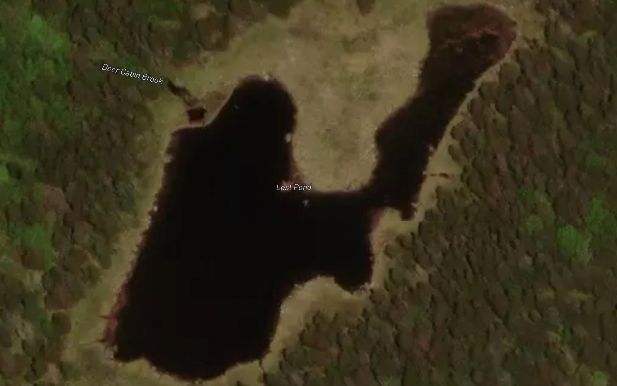 Lost Pond