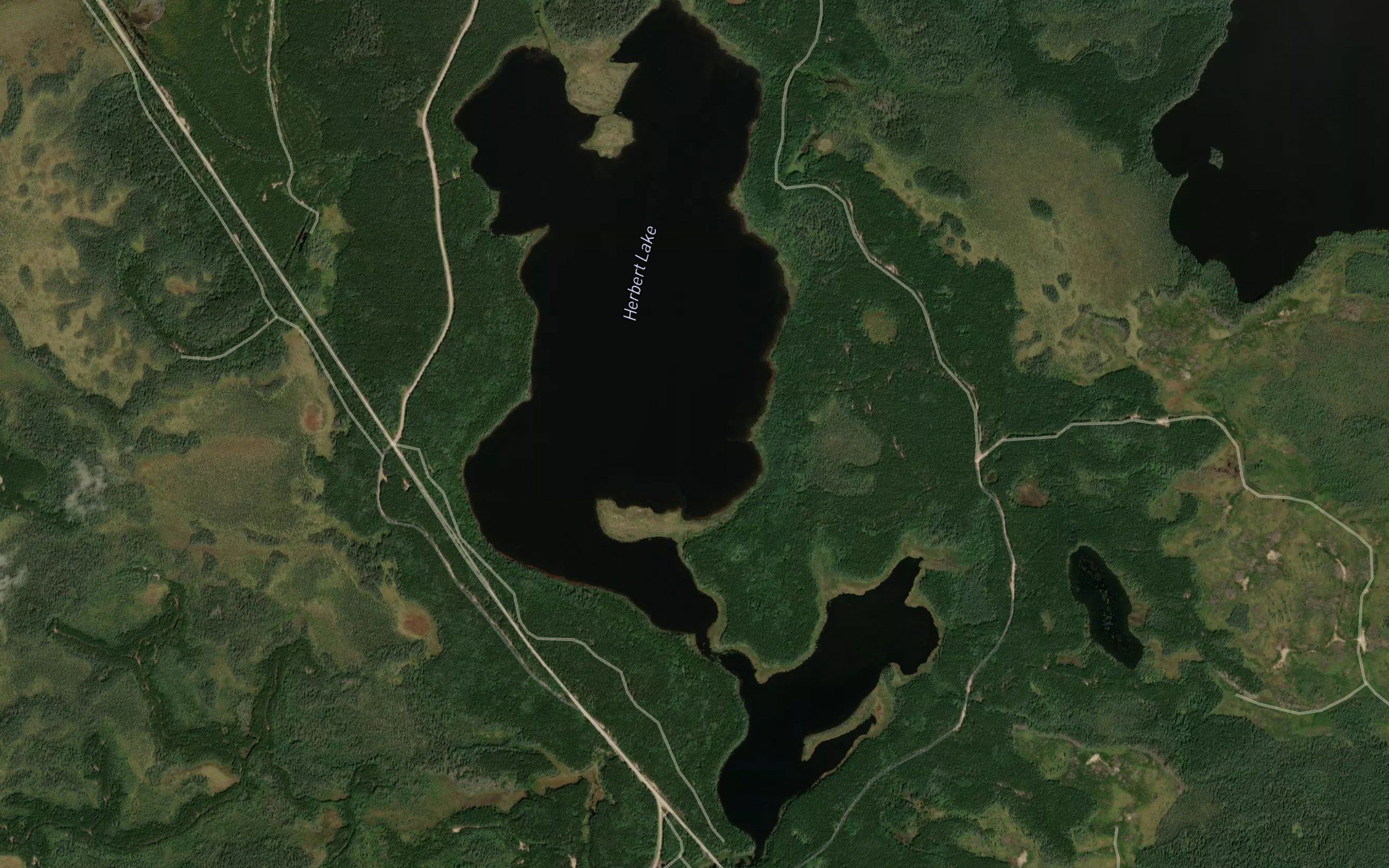 Herbert Lake
