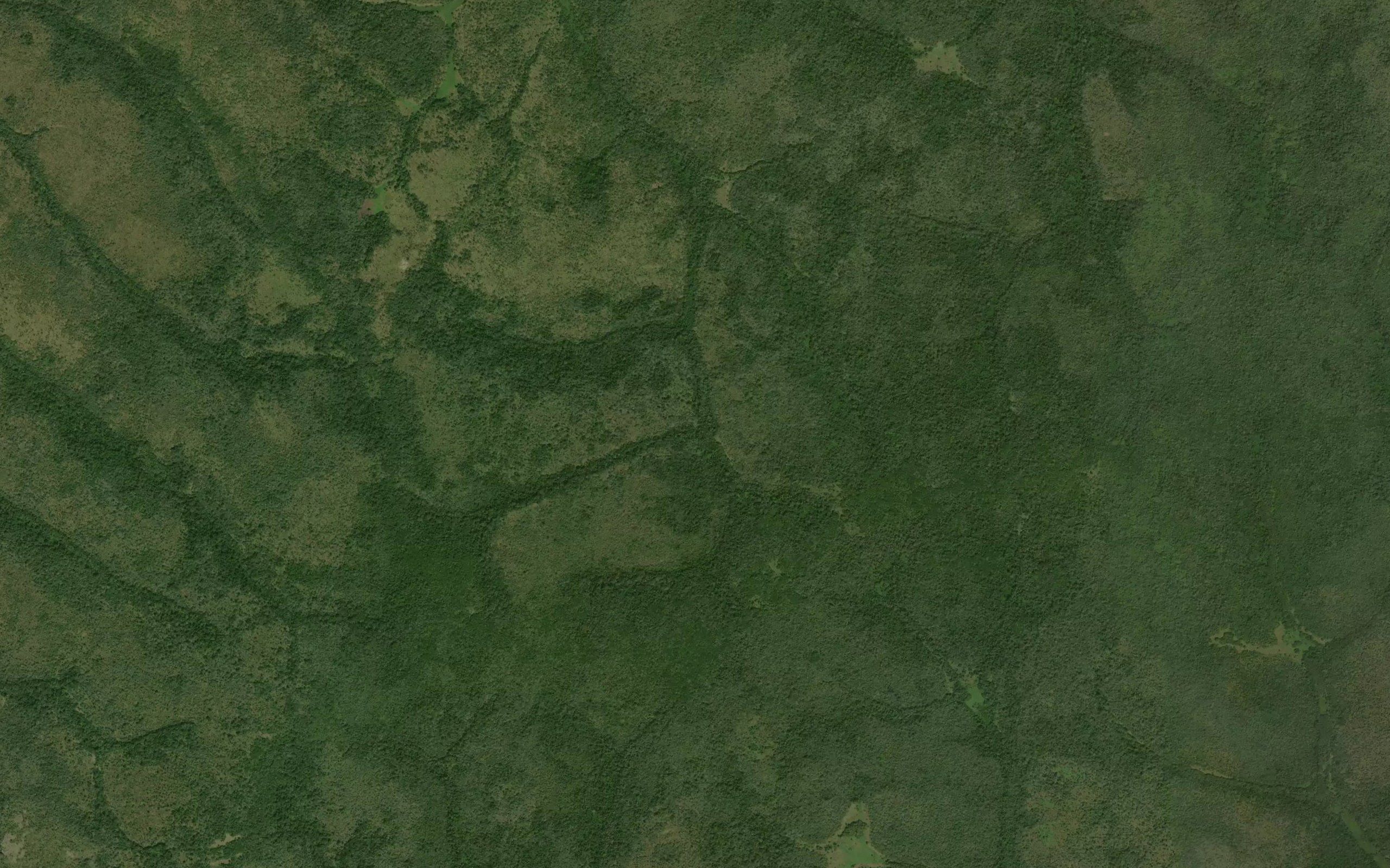 Nambili