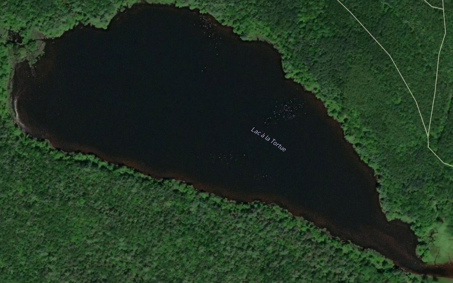Satellite map of the Lac a la Tortue